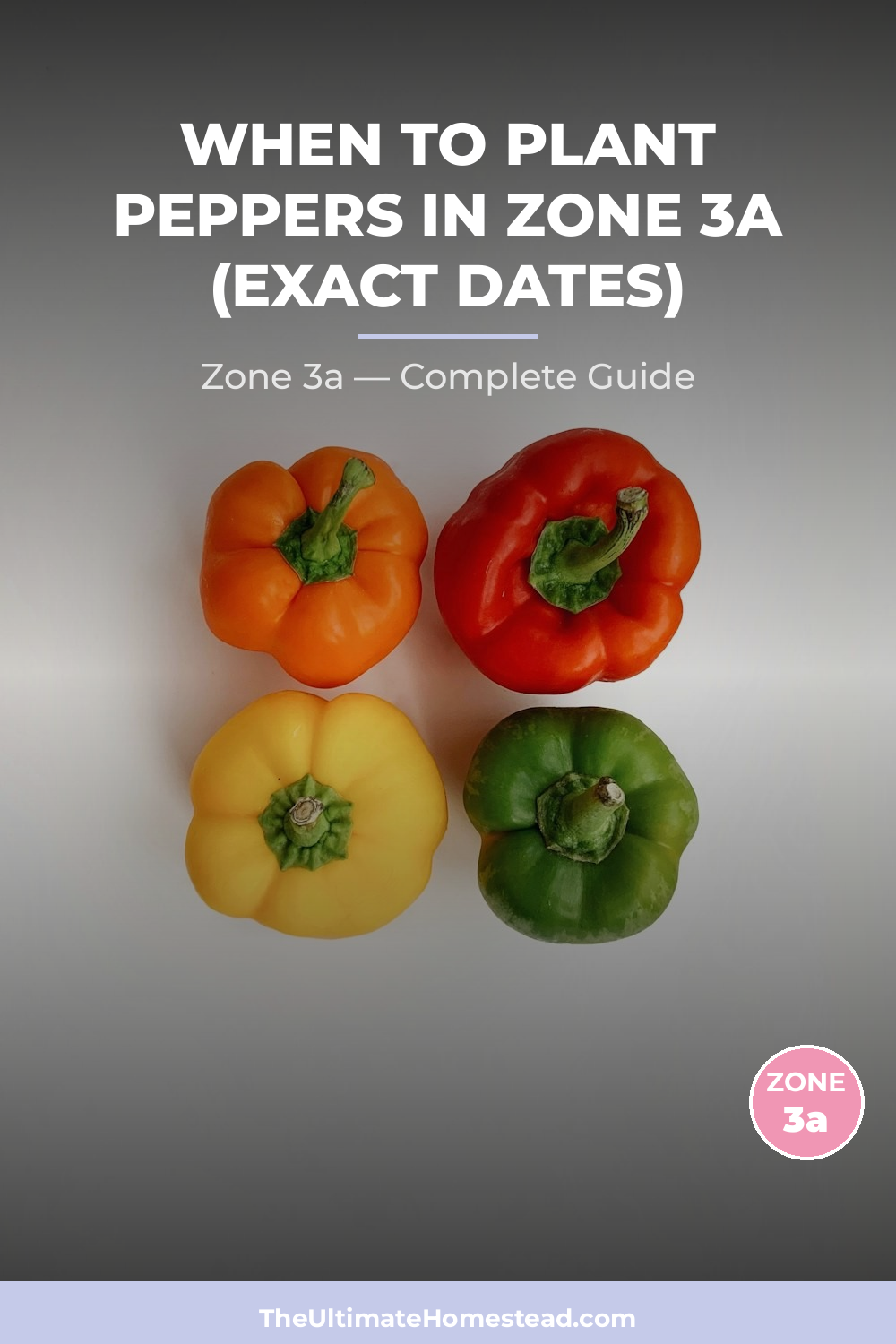 When to Plant Peppers in Zone 3a