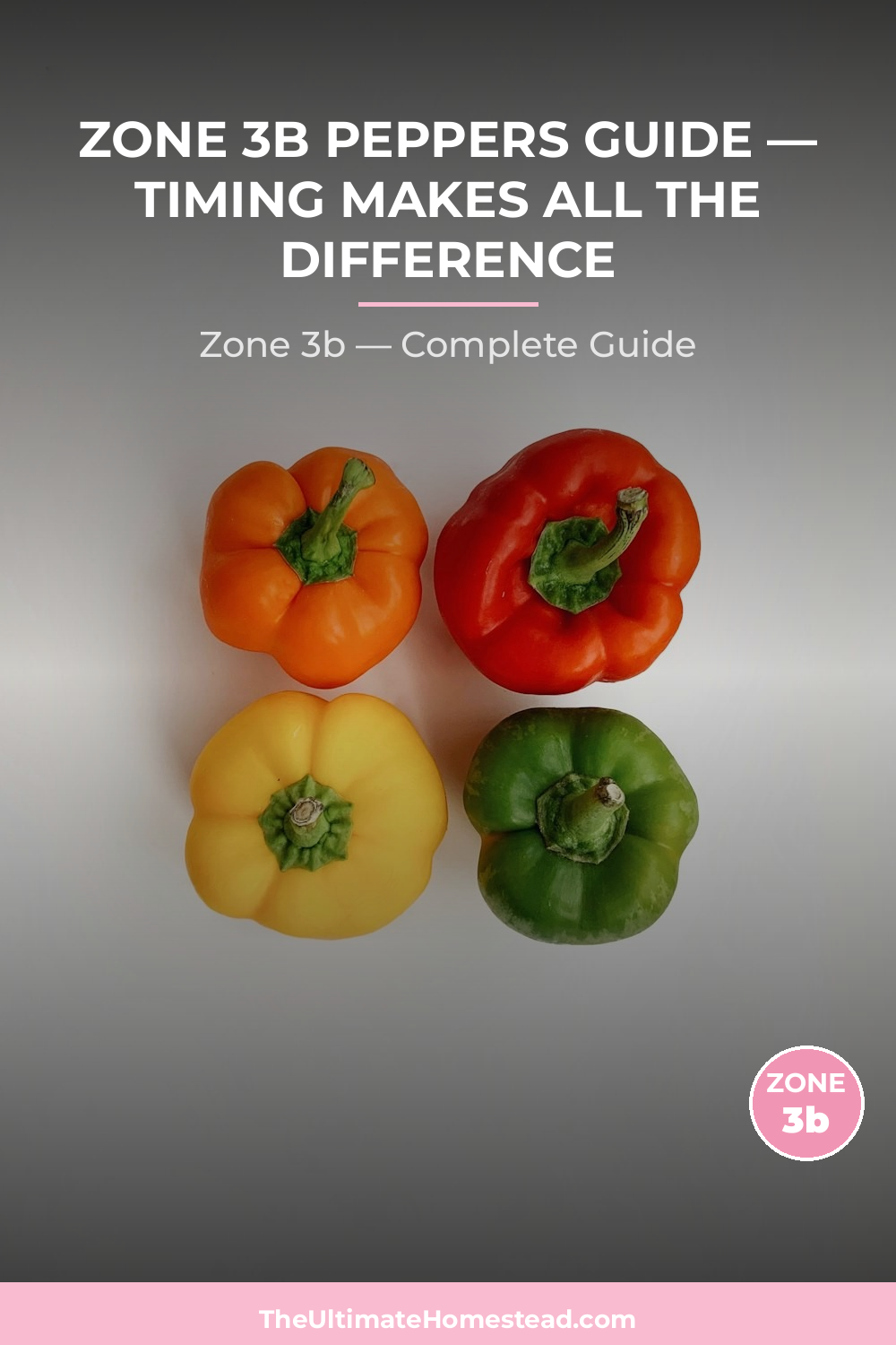 When to Plant Peppers in Zone 3b