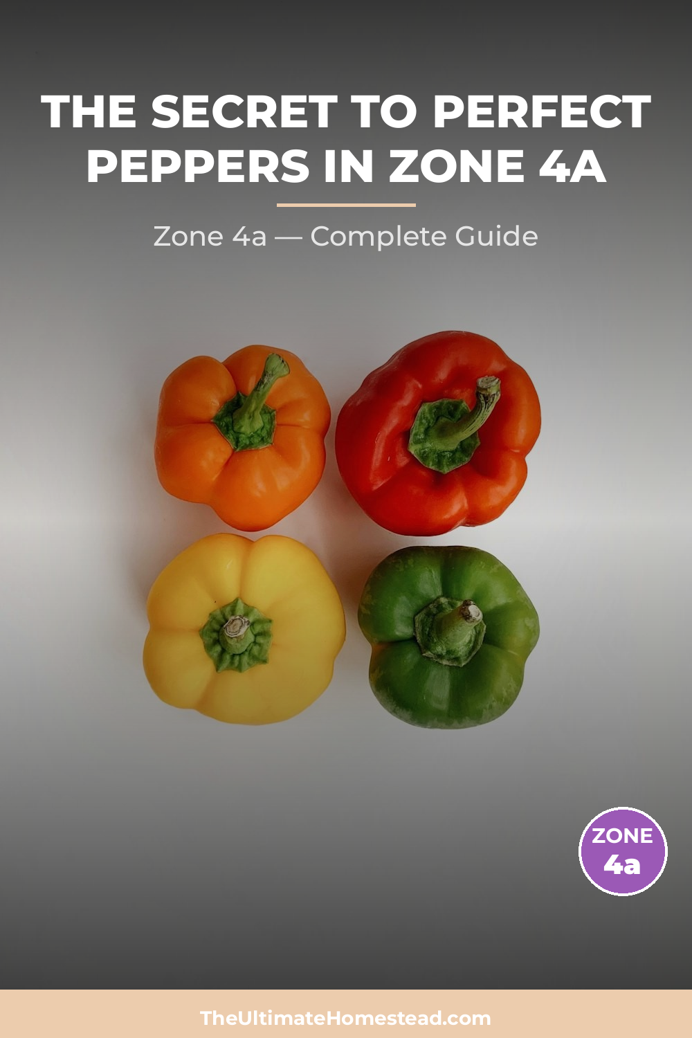 When to Plant Peppers in Zone 4a