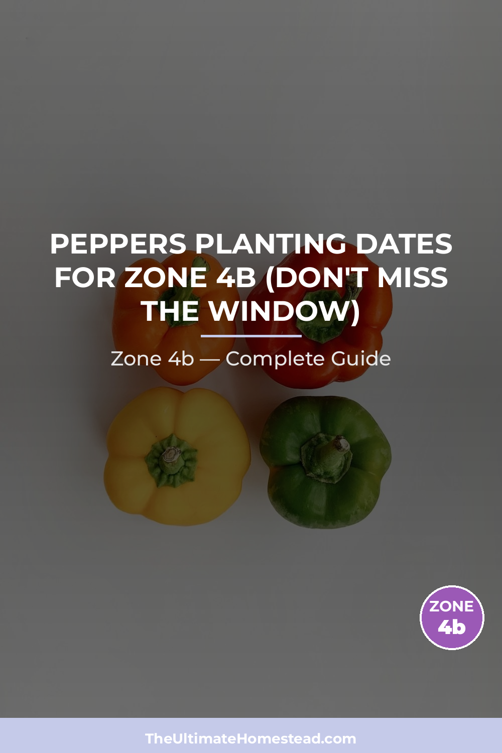 When to Plant Peppers in Zone 4b