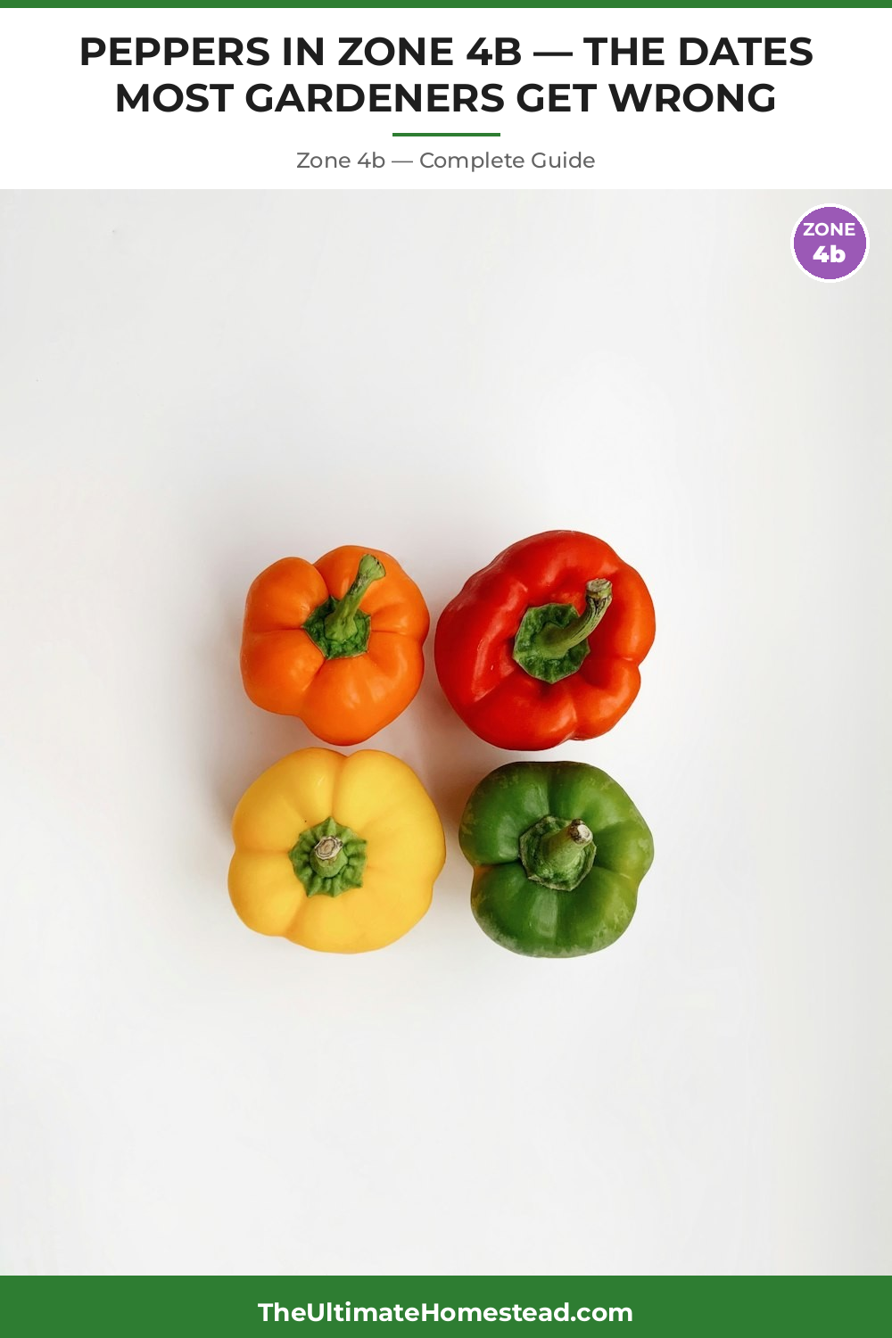 When to Plant Peppers in Zone 4b