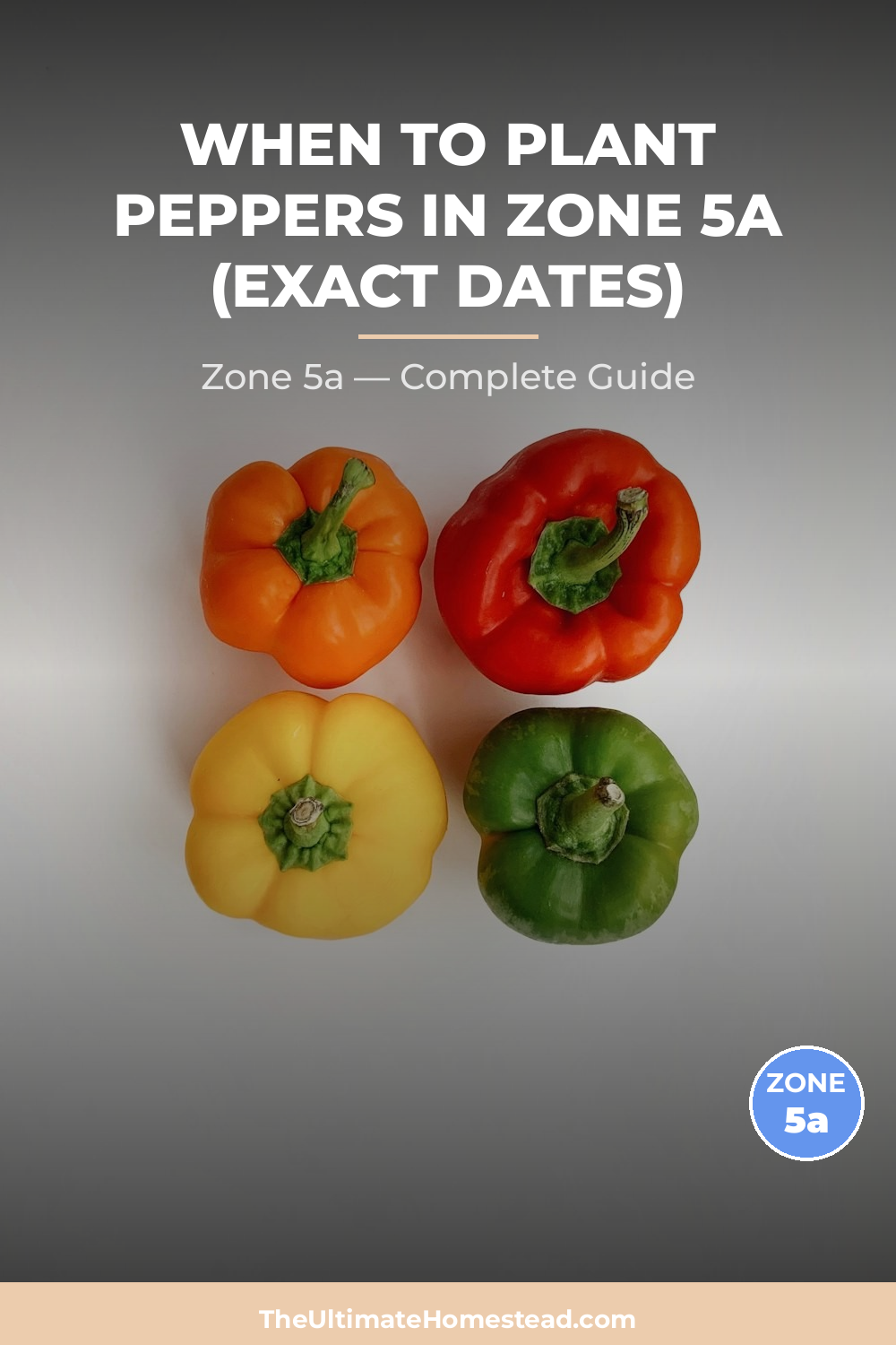 When to Plant Peppers in Zone 5a