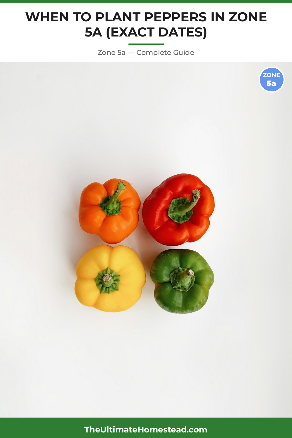 When to Plant Peppers in Zone 5a