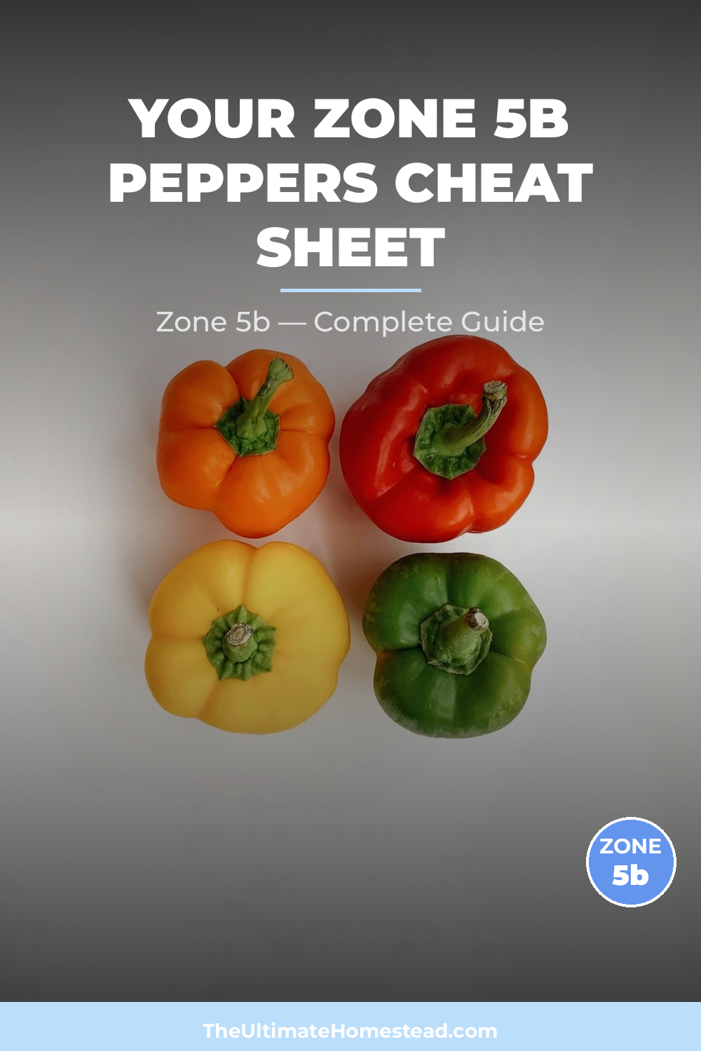 When to Plant Peppers in Zone 5b