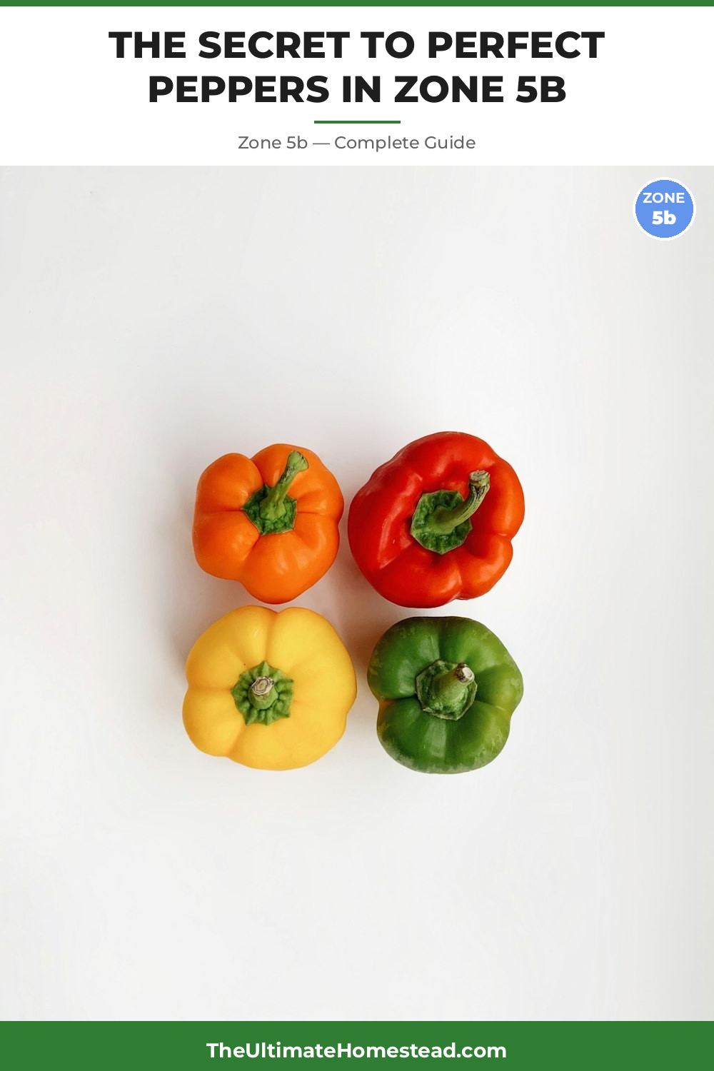 When to Plant Peppers in Zone 5b