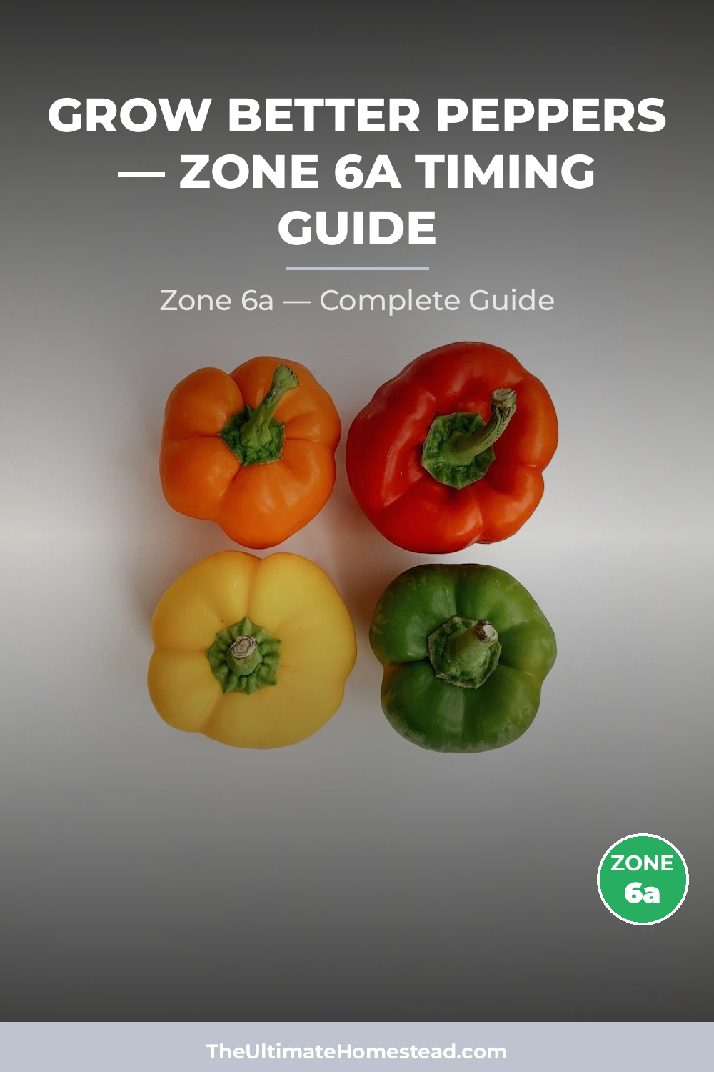 When to Plant Peppers in Zone 6a