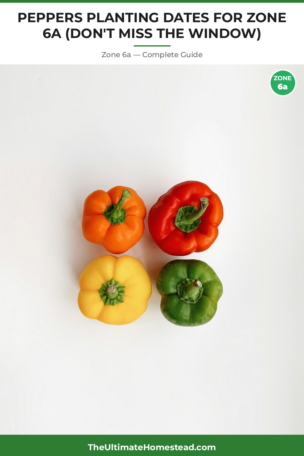 When to Plant Peppers in Zone 6a