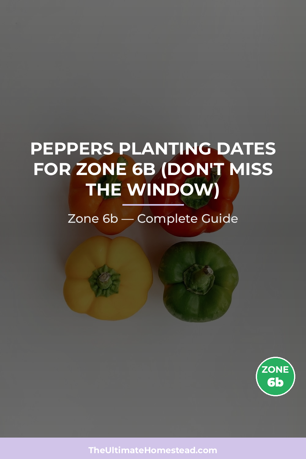 When to Plant Peppers in Zone 6b