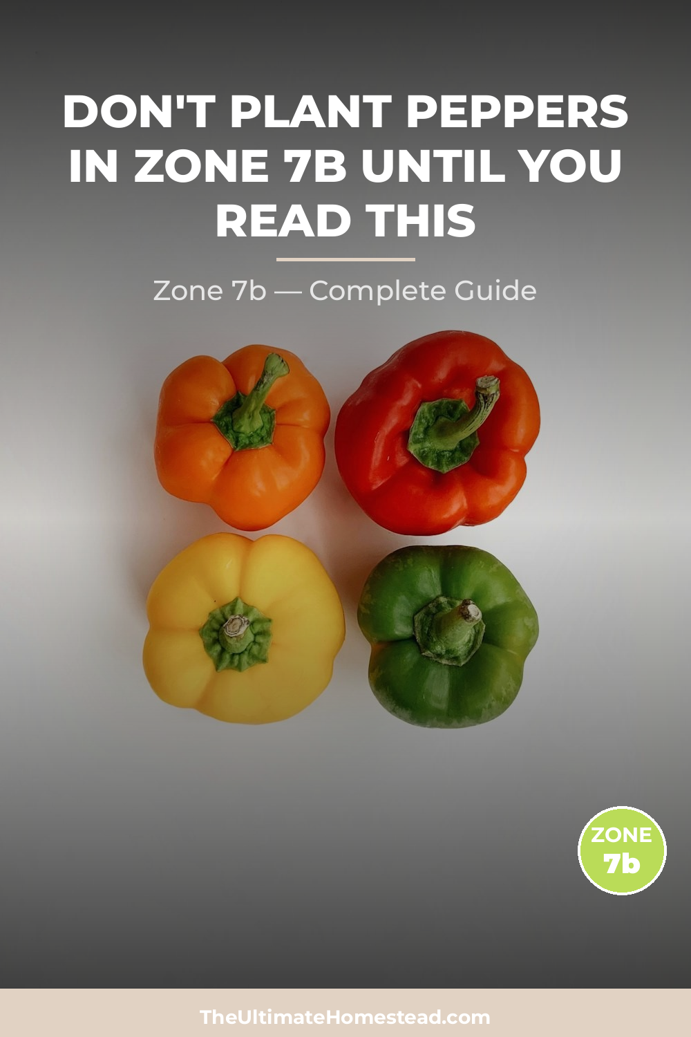 When to Plant Peppers in Zone 7b