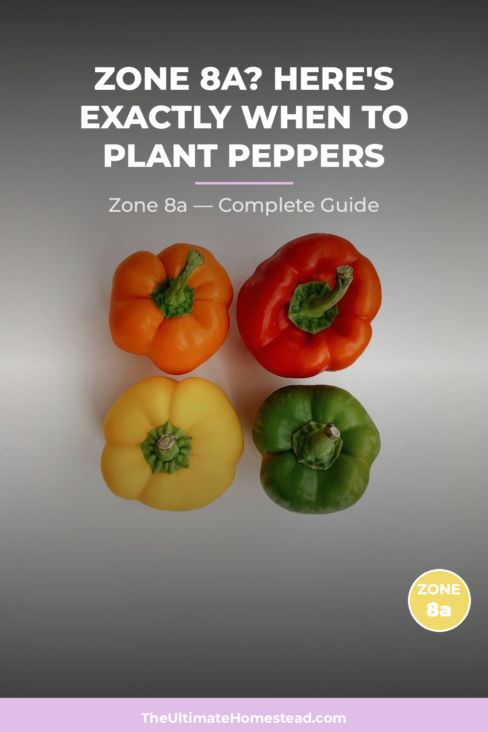 When to Plant Peppers in Zone 8a