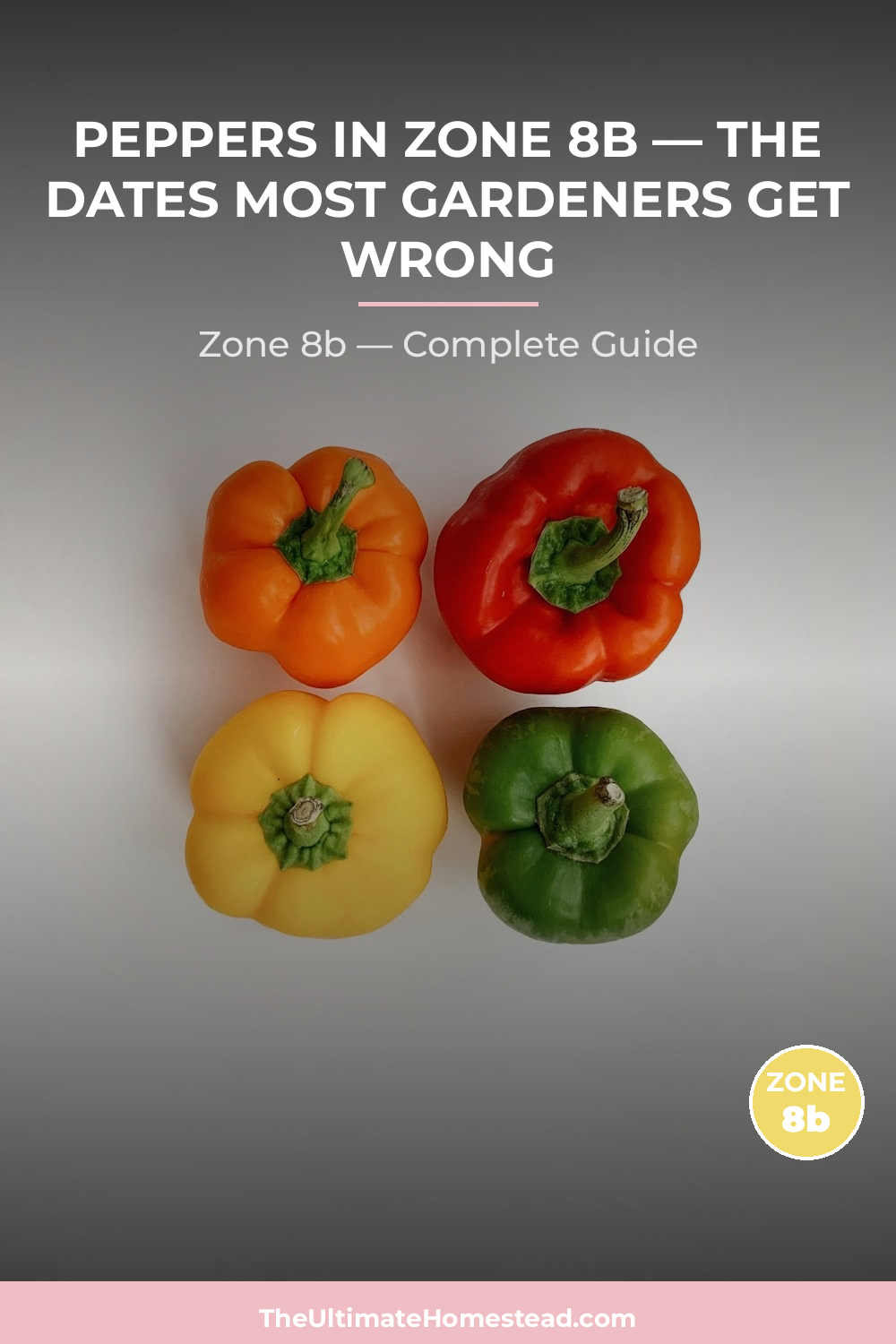 When to Plant Peppers in Zone 8b