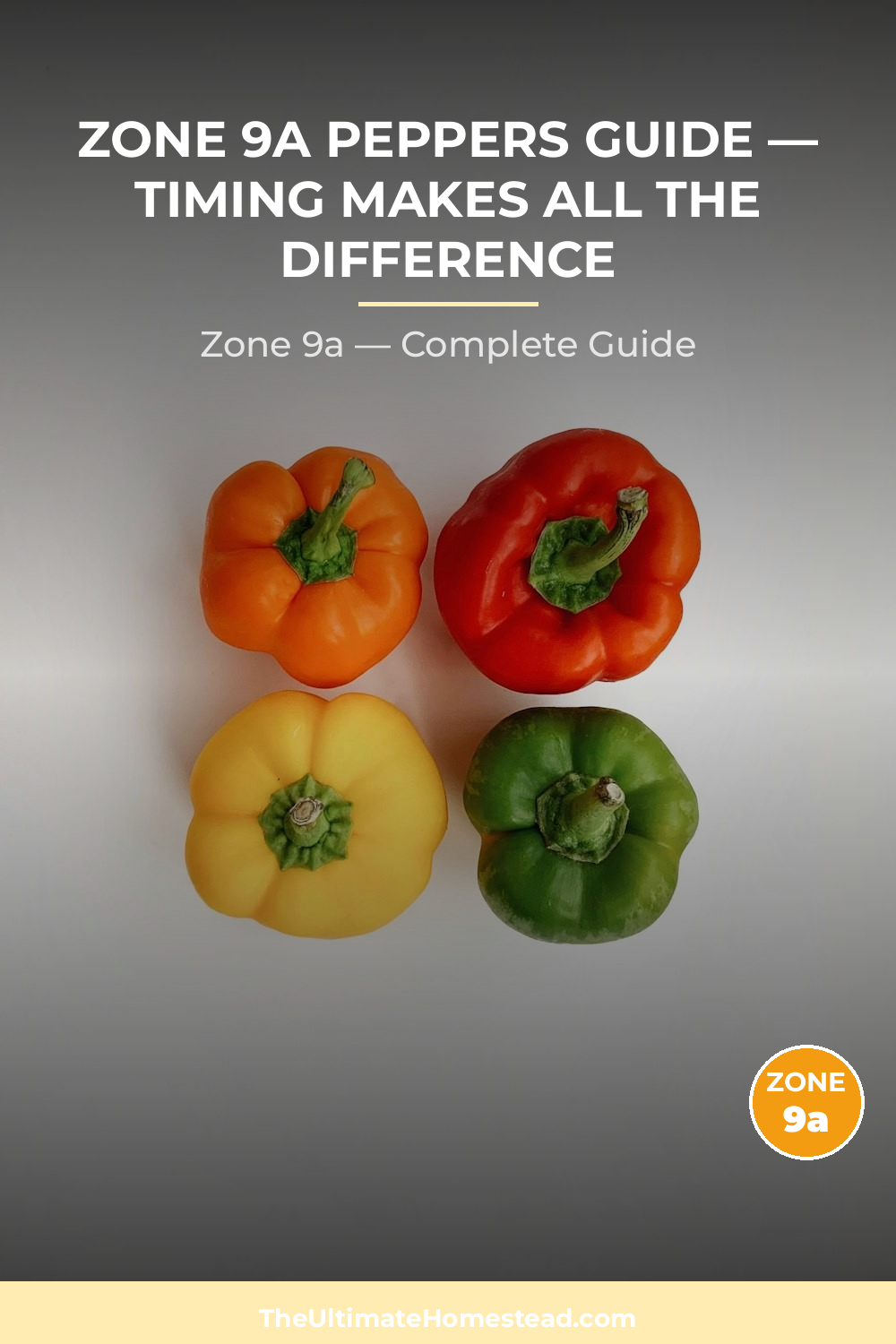 When to Plant Peppers in Zone 9a
