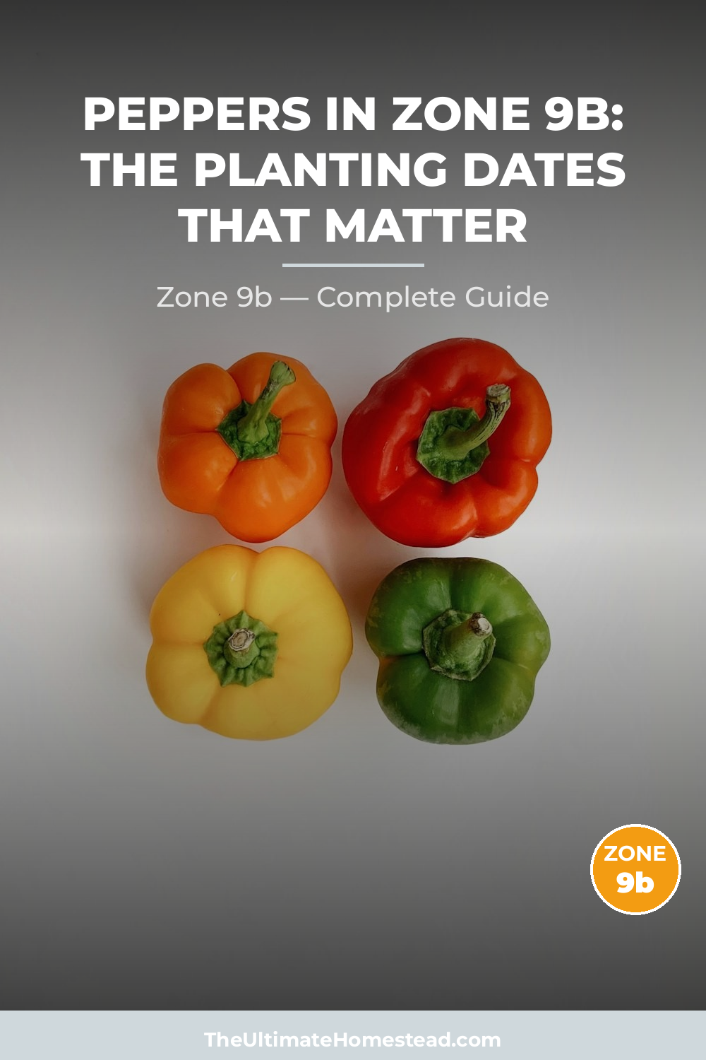 When to Plant Peppers in Zone 9b