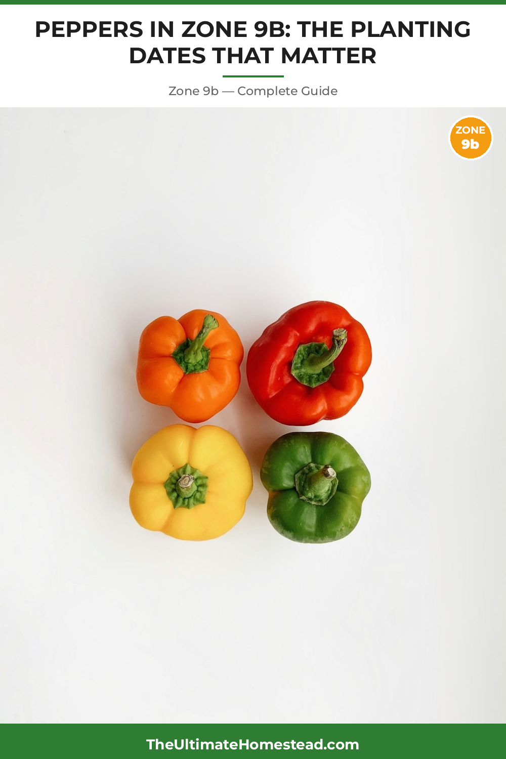 When to Plant Peppers in Zone 9b