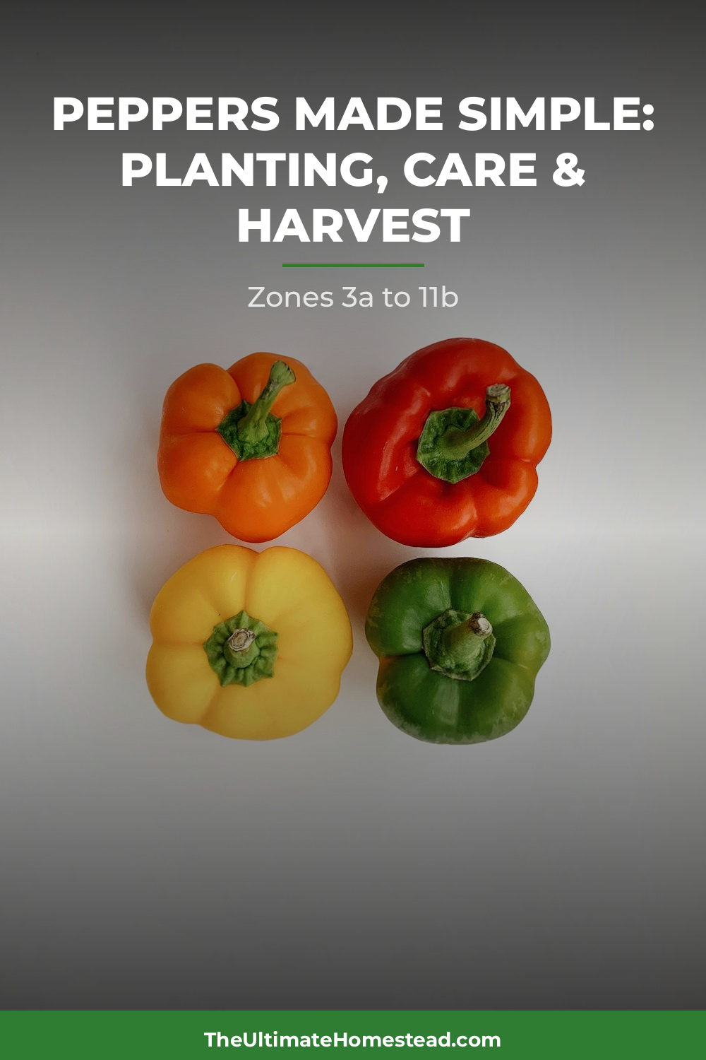 Peppers Planting Guide