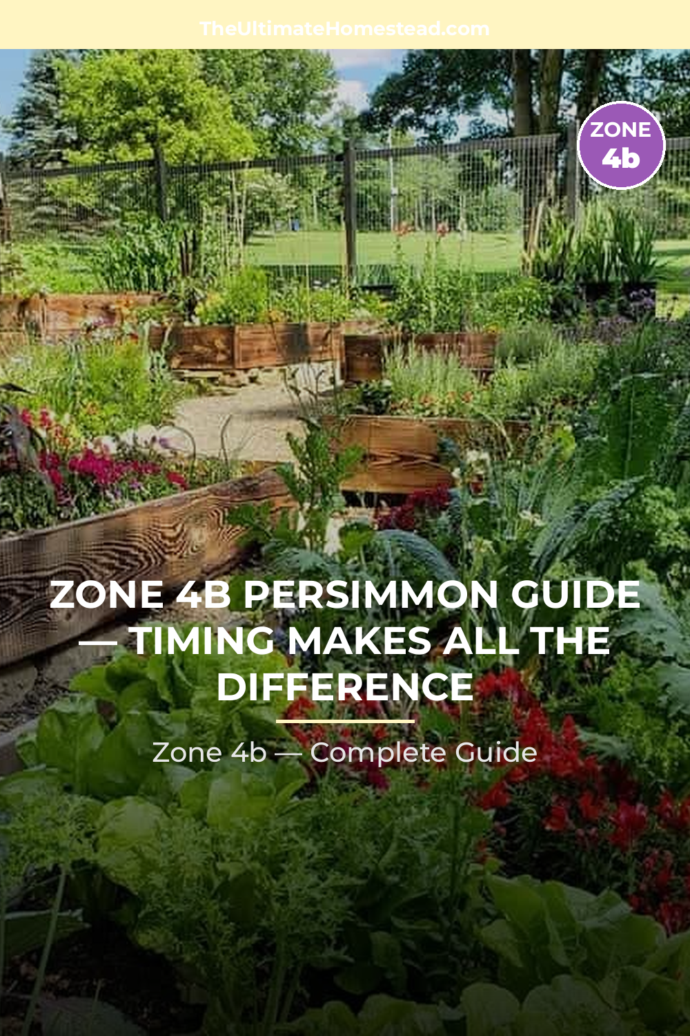 When to Plant Persimmon in Zone 4b