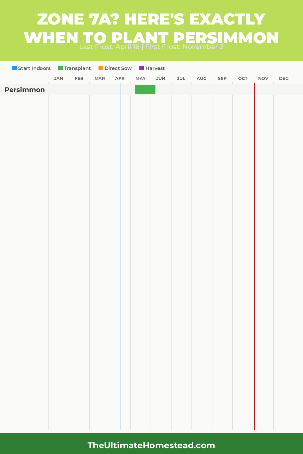 When to Plant Persimmon in Zone 7a