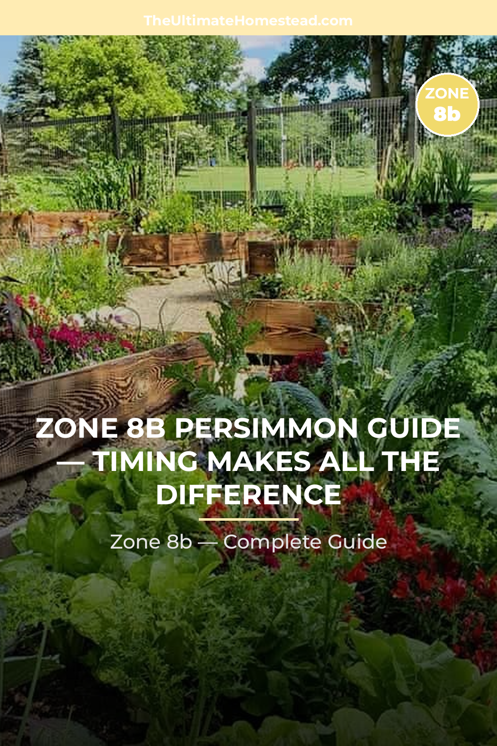 When to Plant Persimmon in Zone 8b