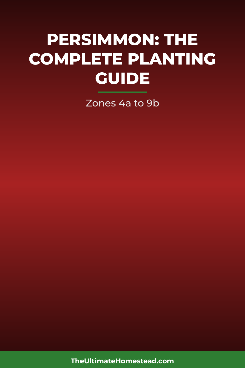 Persimmon Planting Guide