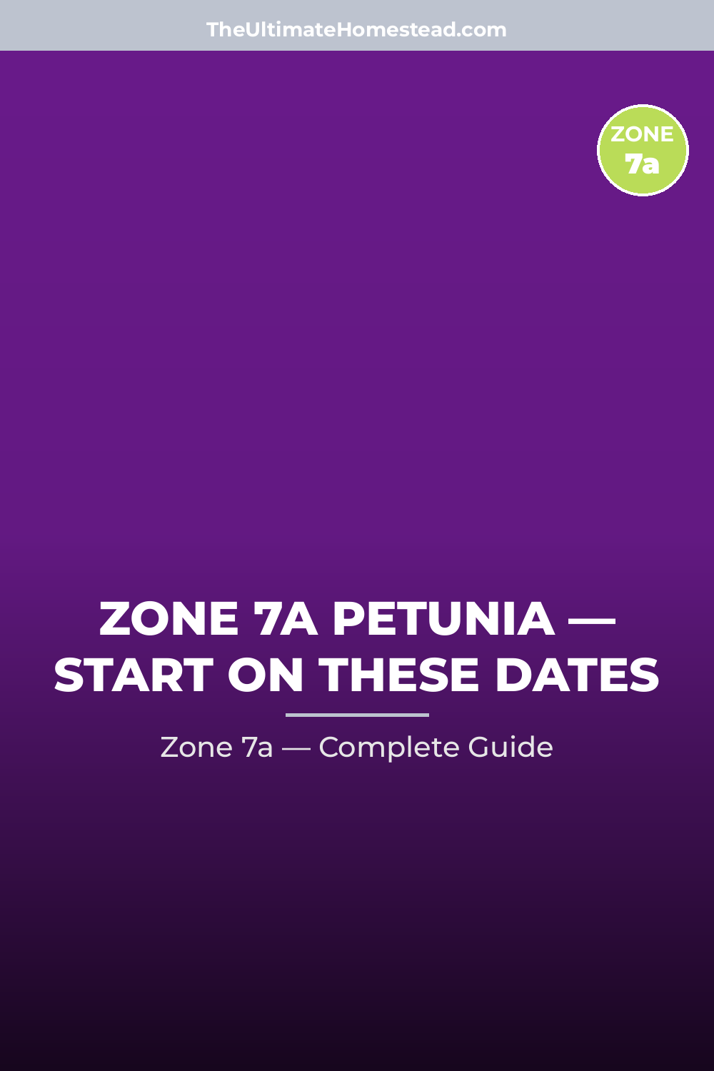 When to Plant Petunia in Zone 7a