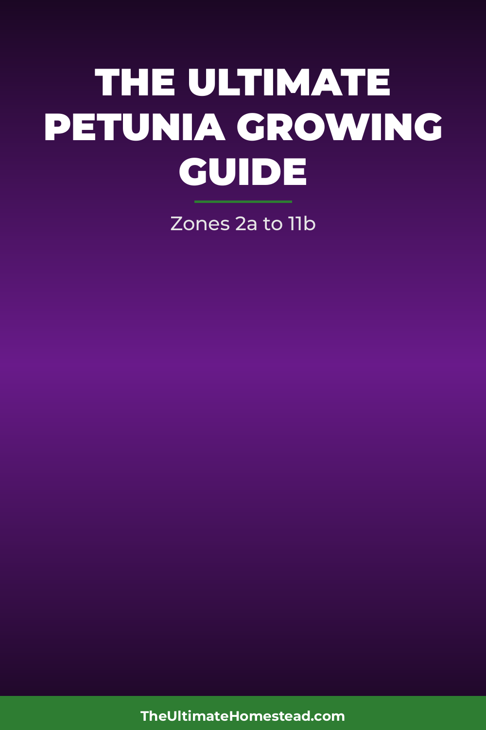 Petunia Planting Guide