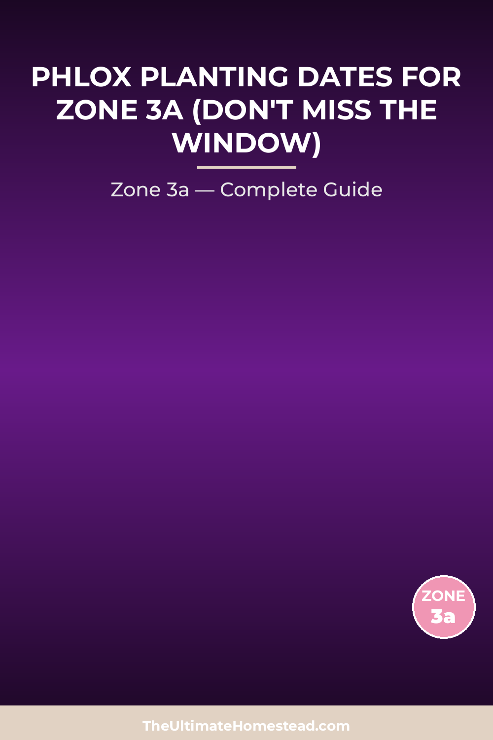 When to Plant Phlox in Zone 3a