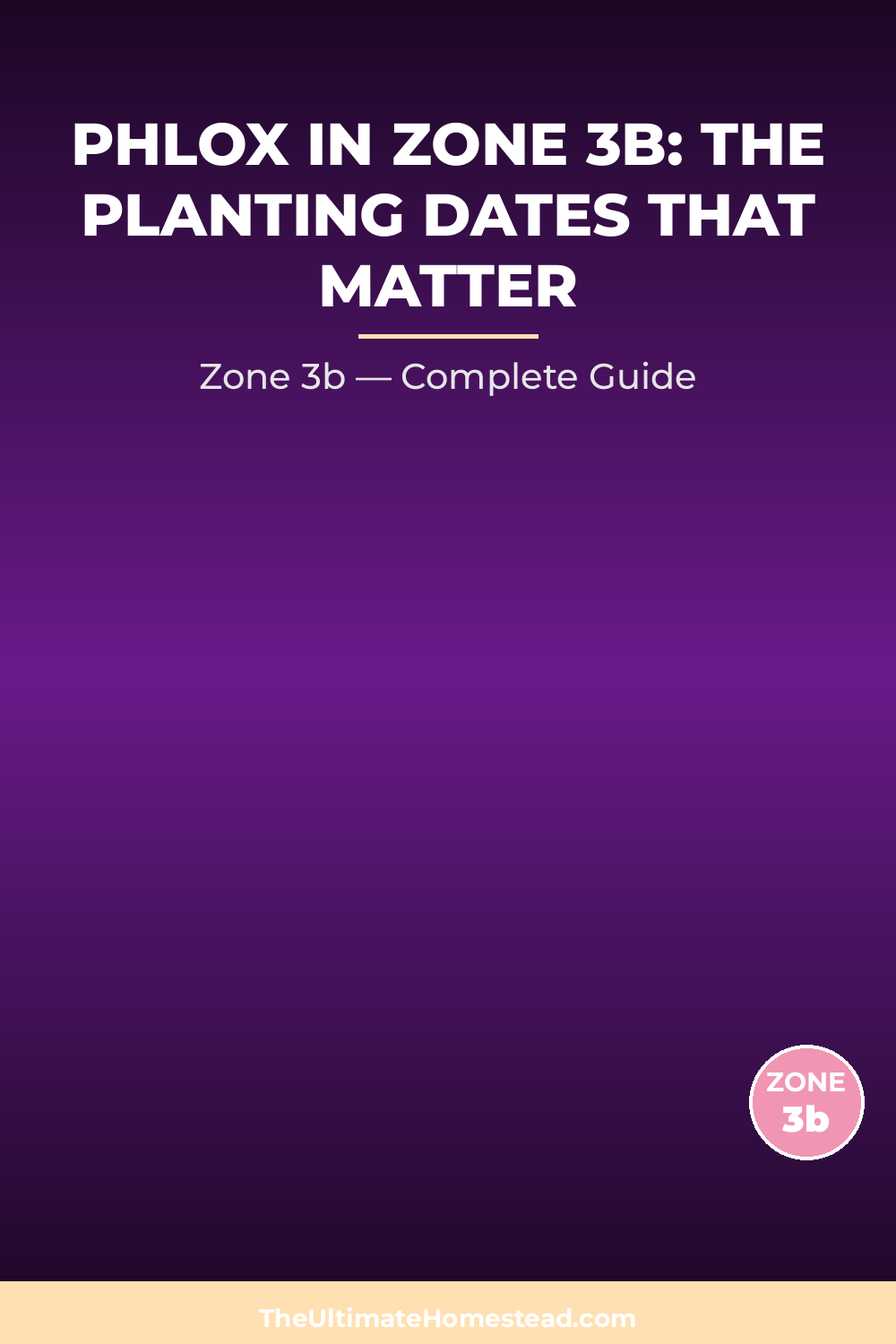 When to Plant Phlox in Zone 3b