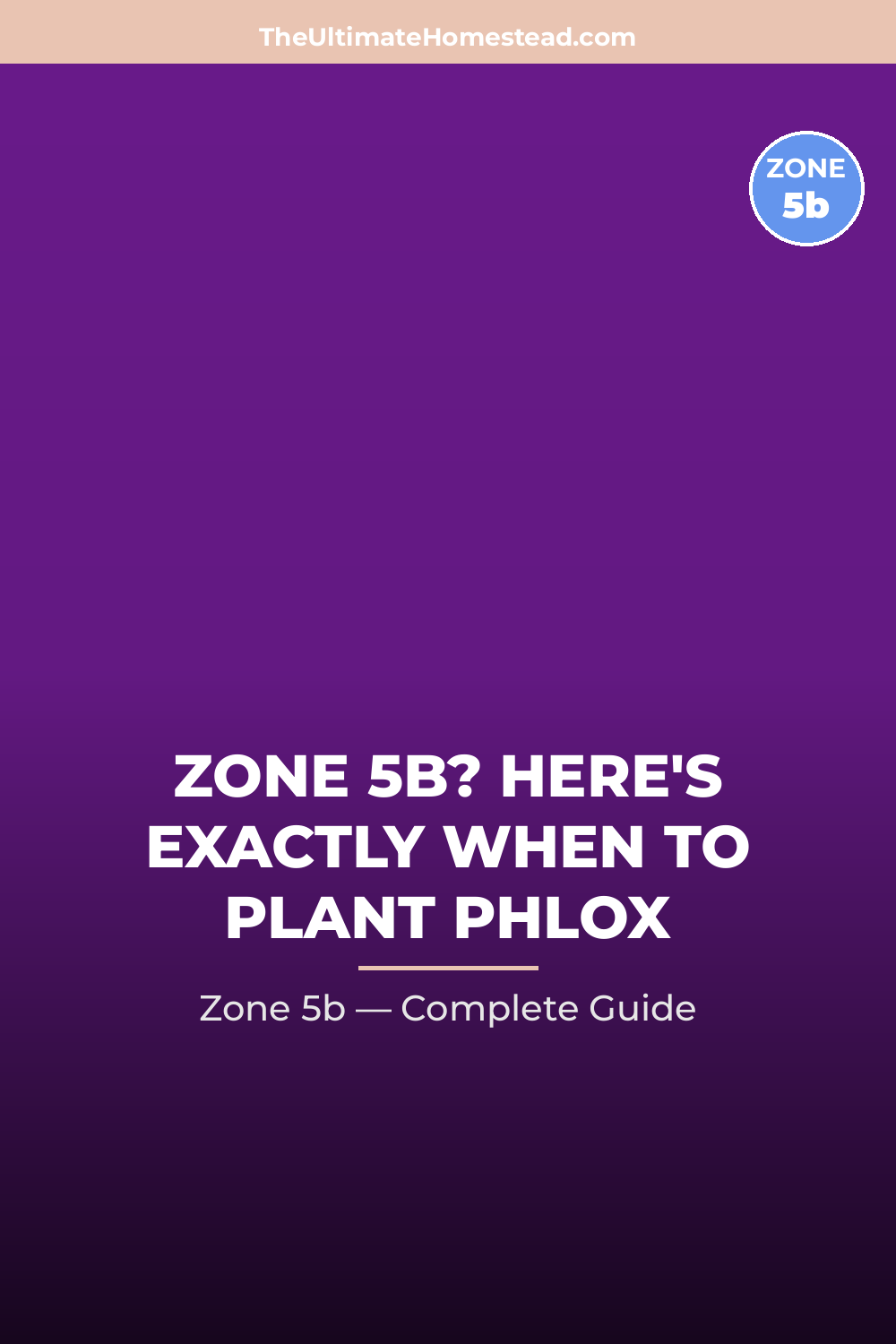 When to Plant Phlox in Zone 5b