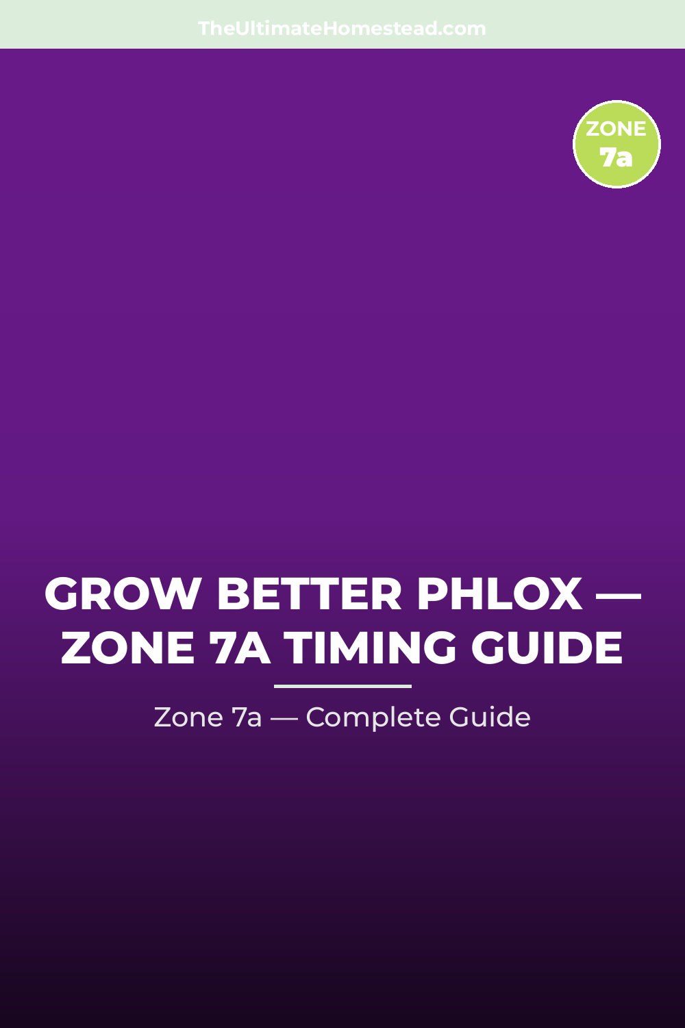 When to Plant Phlox in Zone 7a