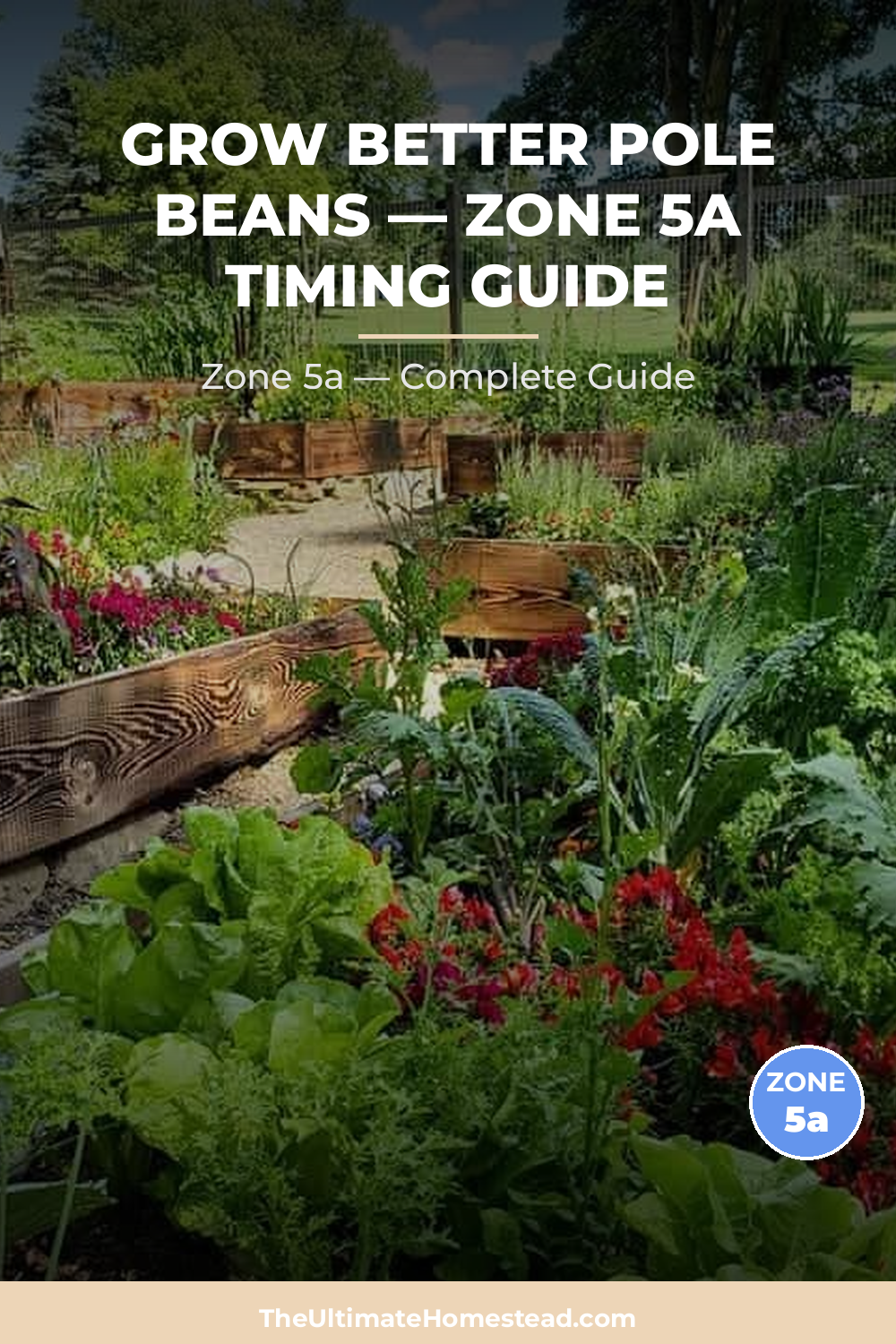 When to Plant Pole Beans in Zone 5a