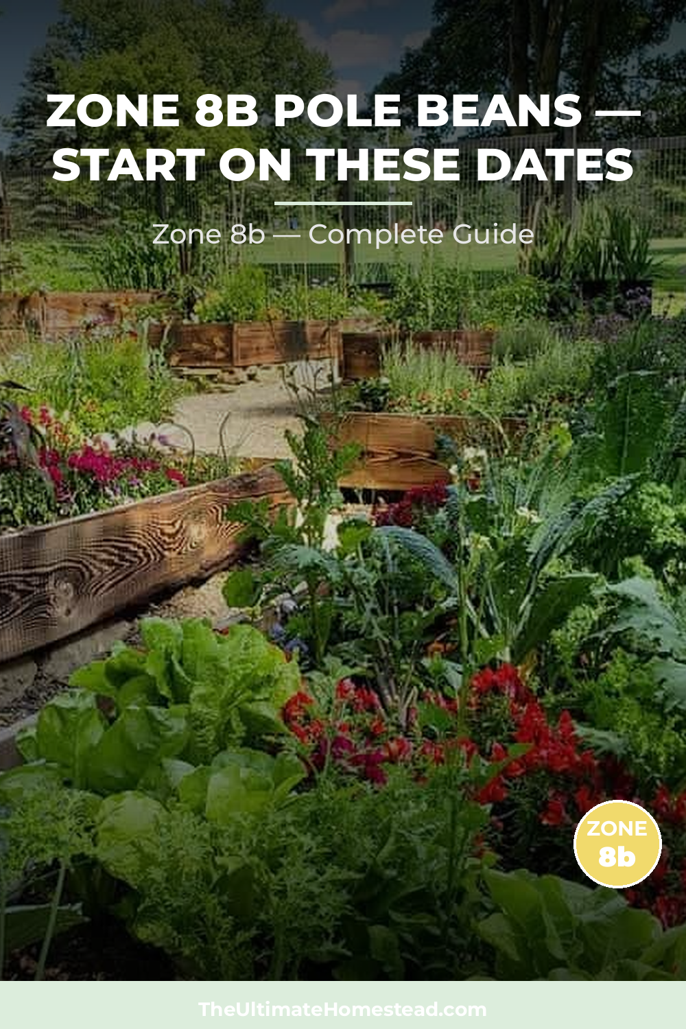 When to Plant Pole Beans in Zone 8b