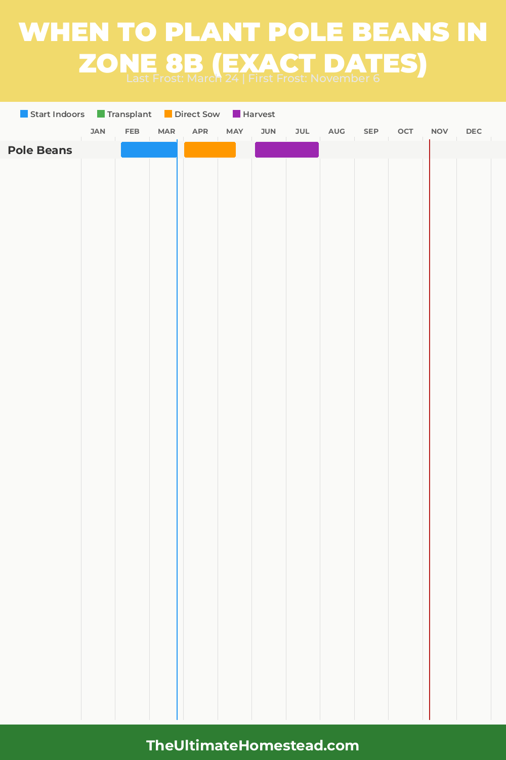 When to Plant Pole Beans in Zone 8b