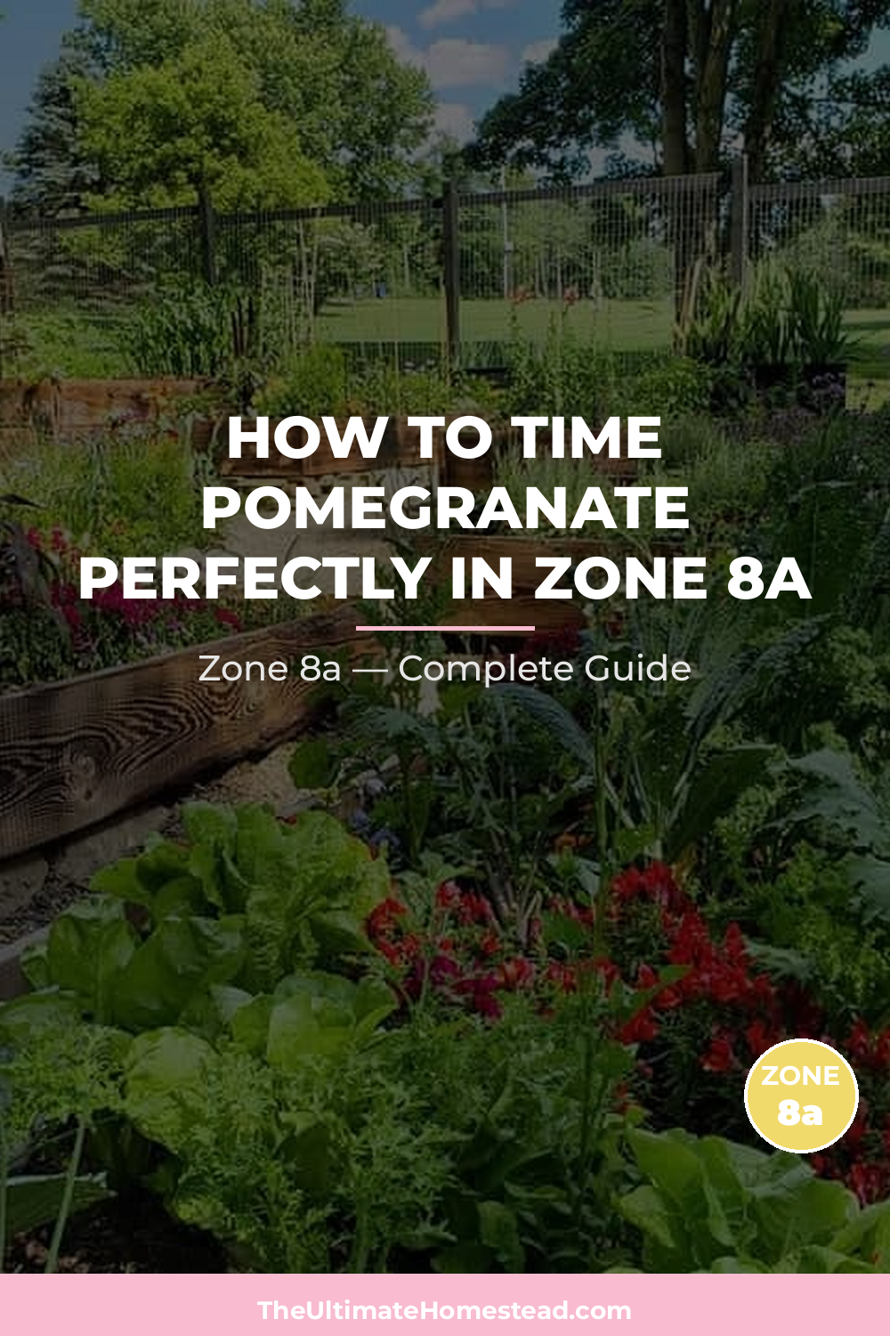 When to Plant Pomegranate in Zone 8a