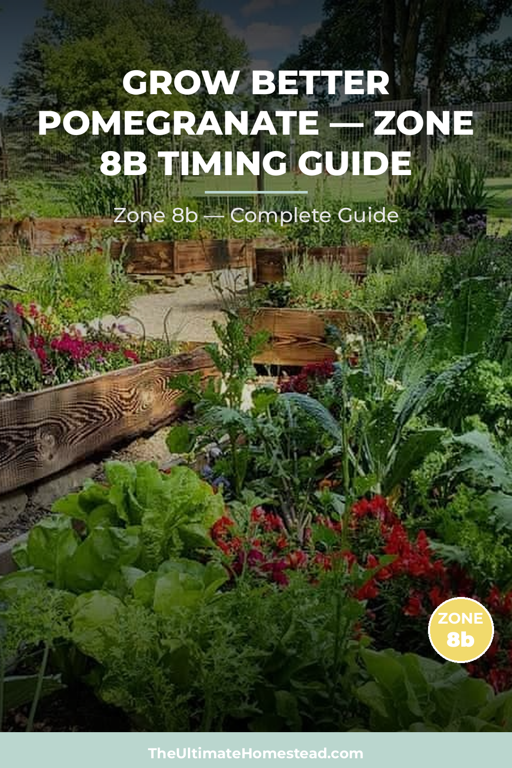 When to Plant Pomegranate in Zone 8b