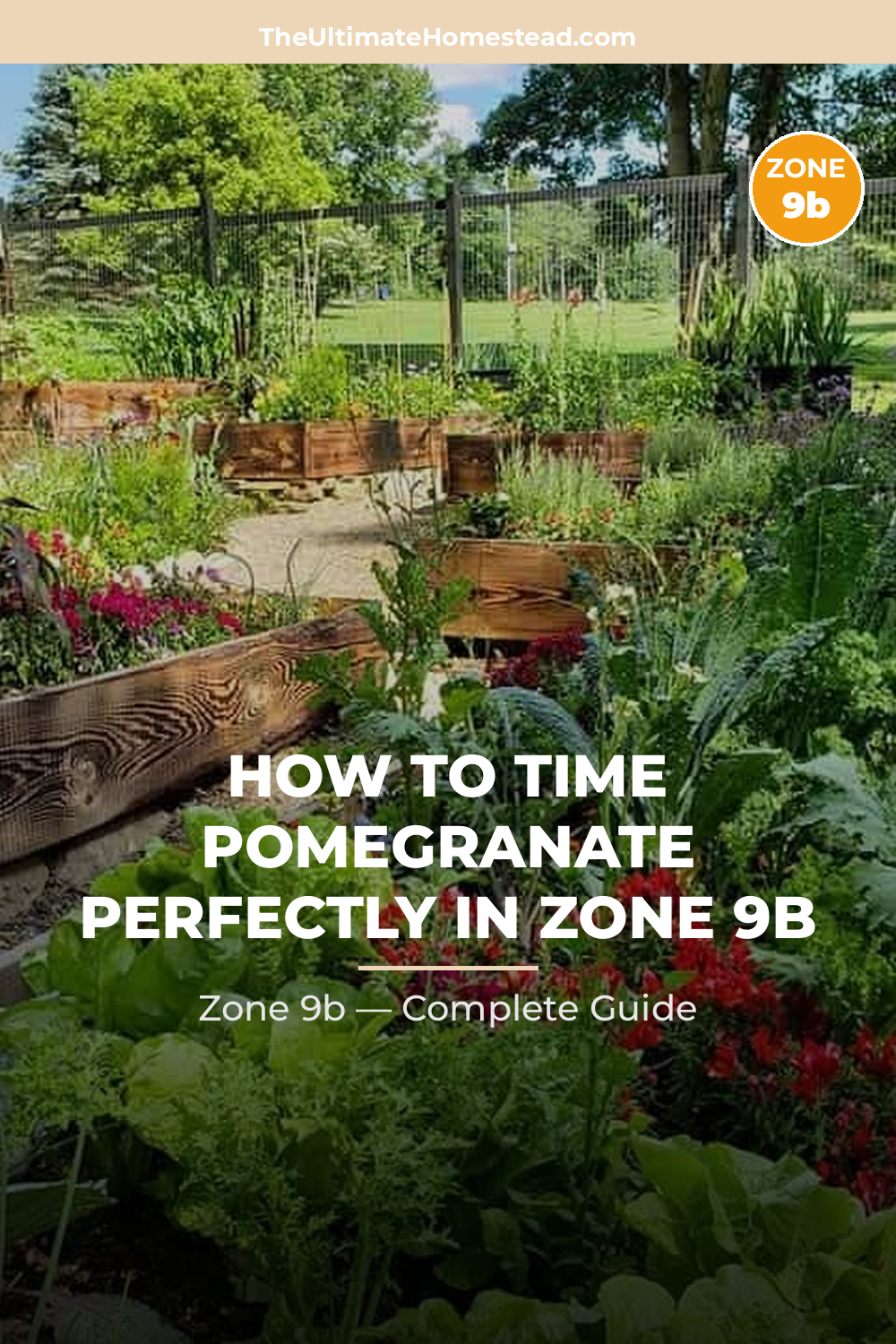 When to Plant Pomegranate in Zone 9b