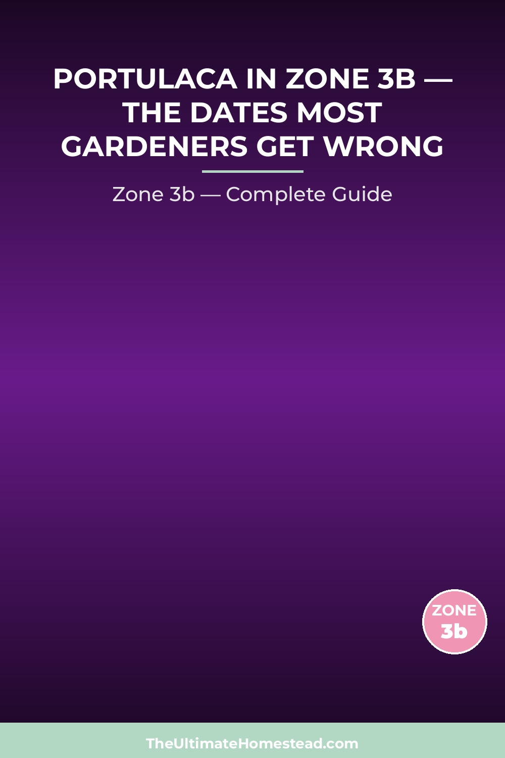 When to Plant Portulaca in Zone 3b