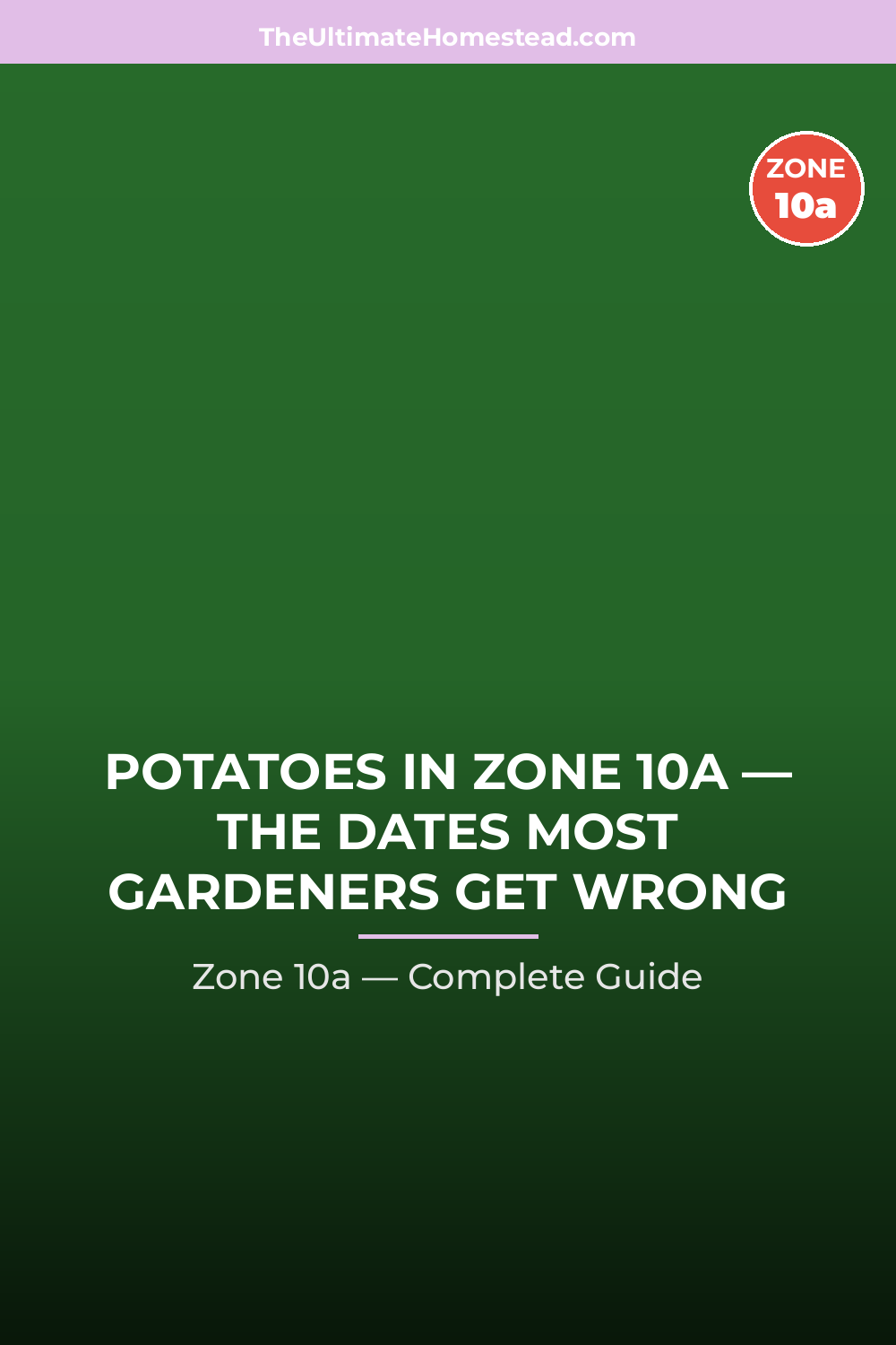 When to Plant Potatoes in Zone 10a