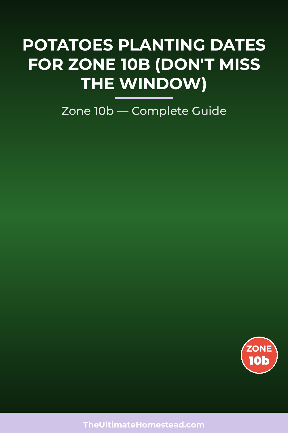 When to Plant Potatoes in Zone 10b