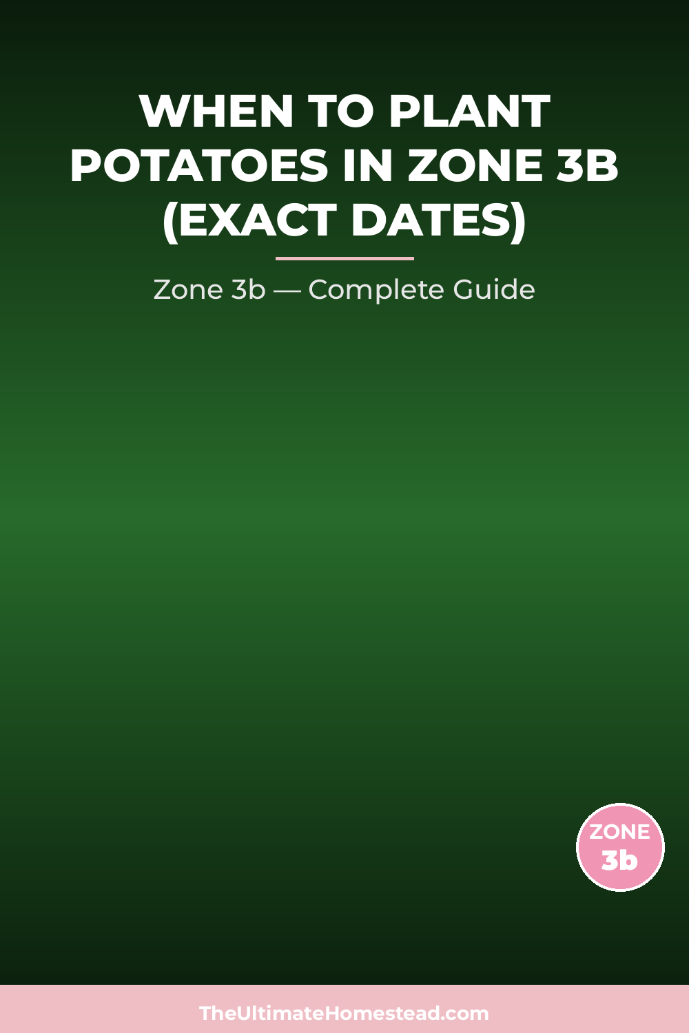 When to Plant Potatoes in Zone 3b
