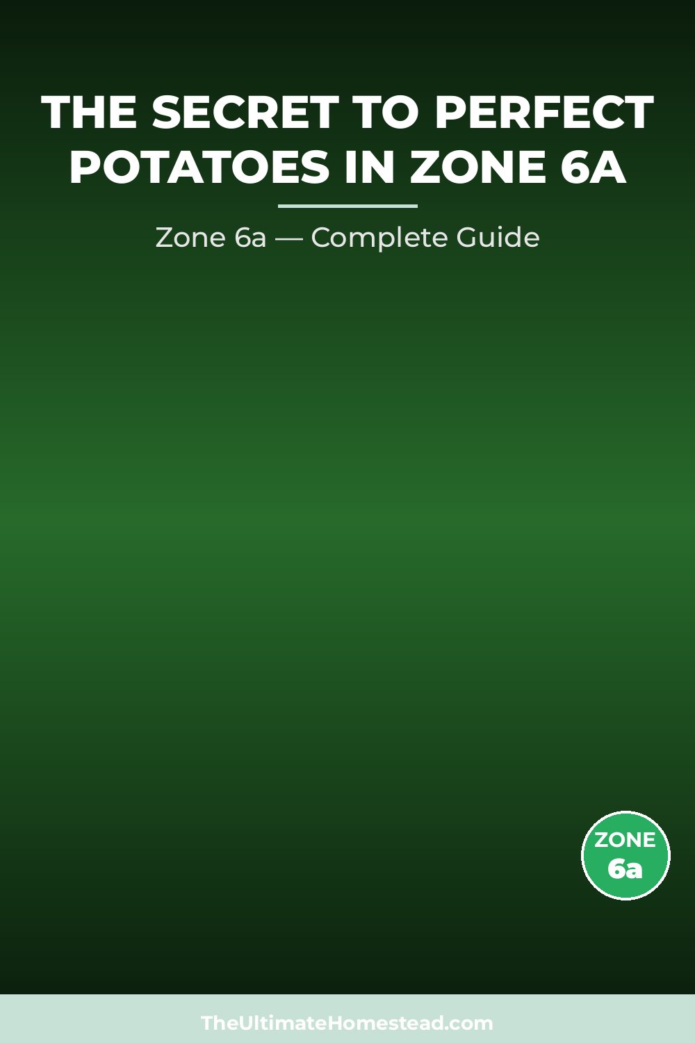 When to Plant Potatoes in Zone 6a