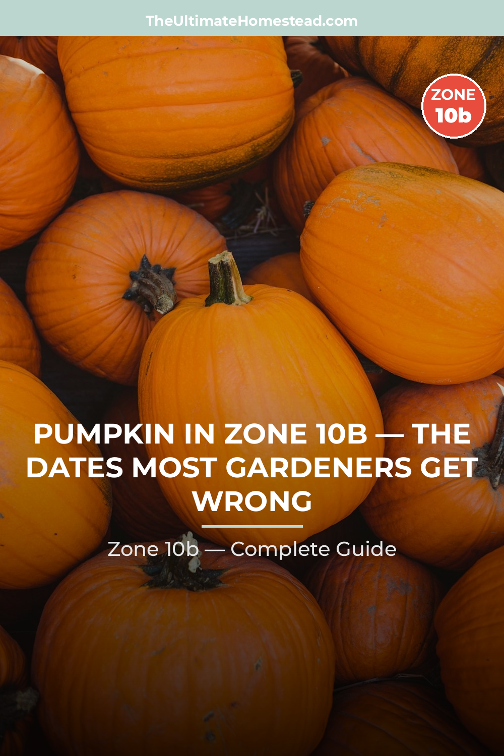 When to Plant Pumpkin in Zone 10b