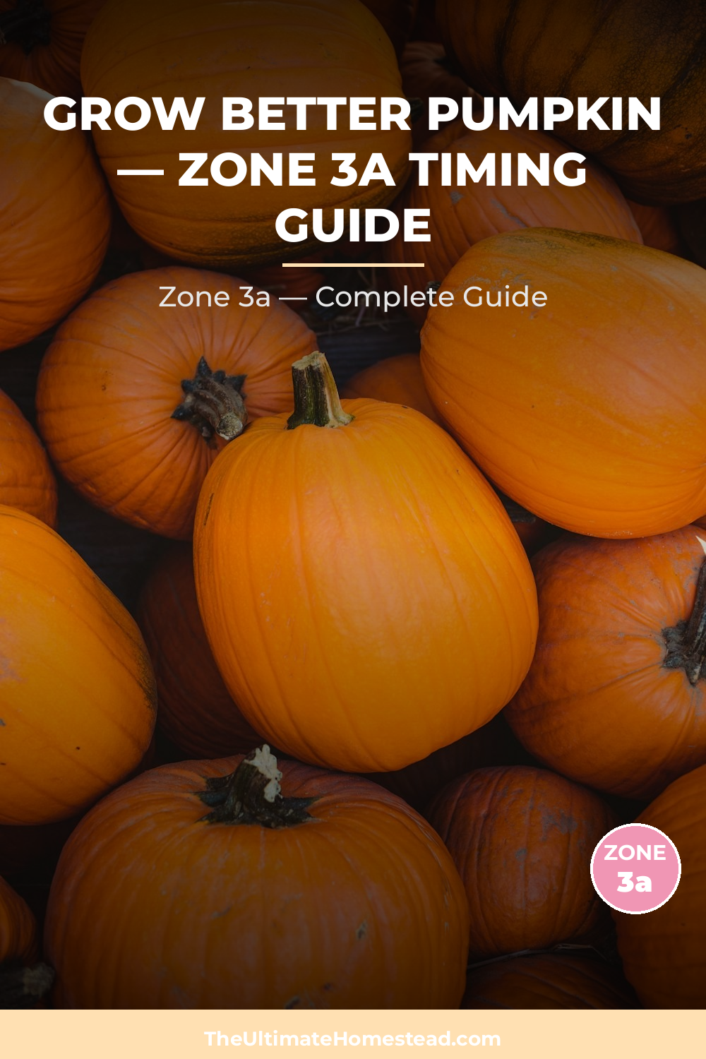 When to Plant Pumpkin in Zone 3a