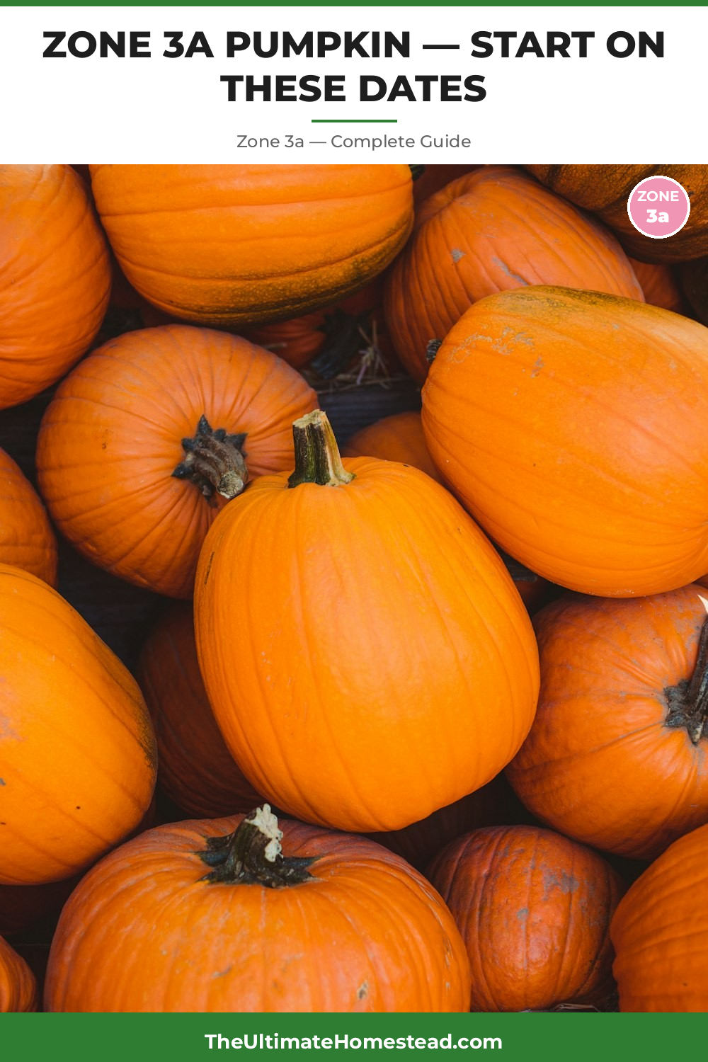 When to Plant Pumpkin in Zone 3a