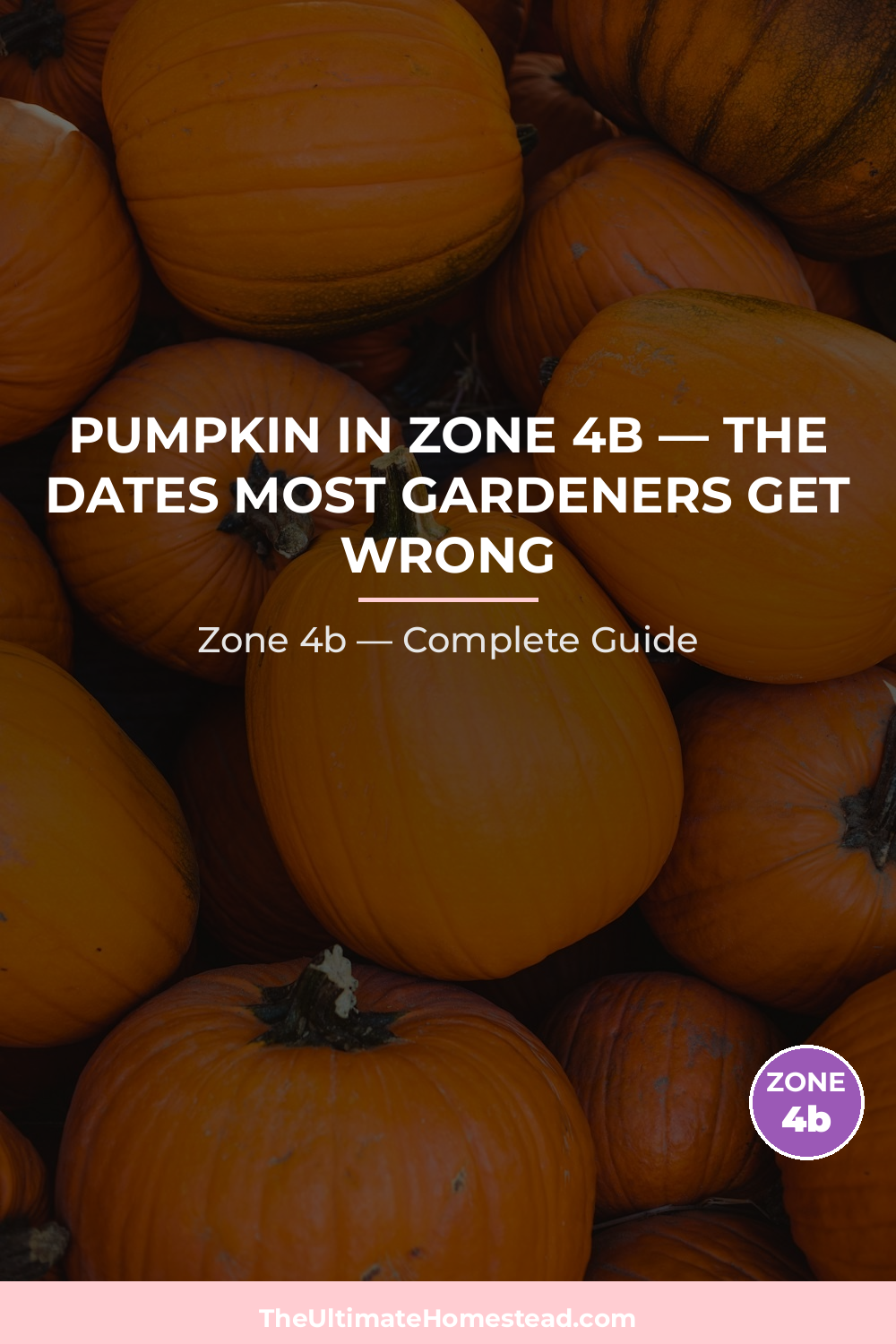 When to Plant Pumpkin in Zone 4b