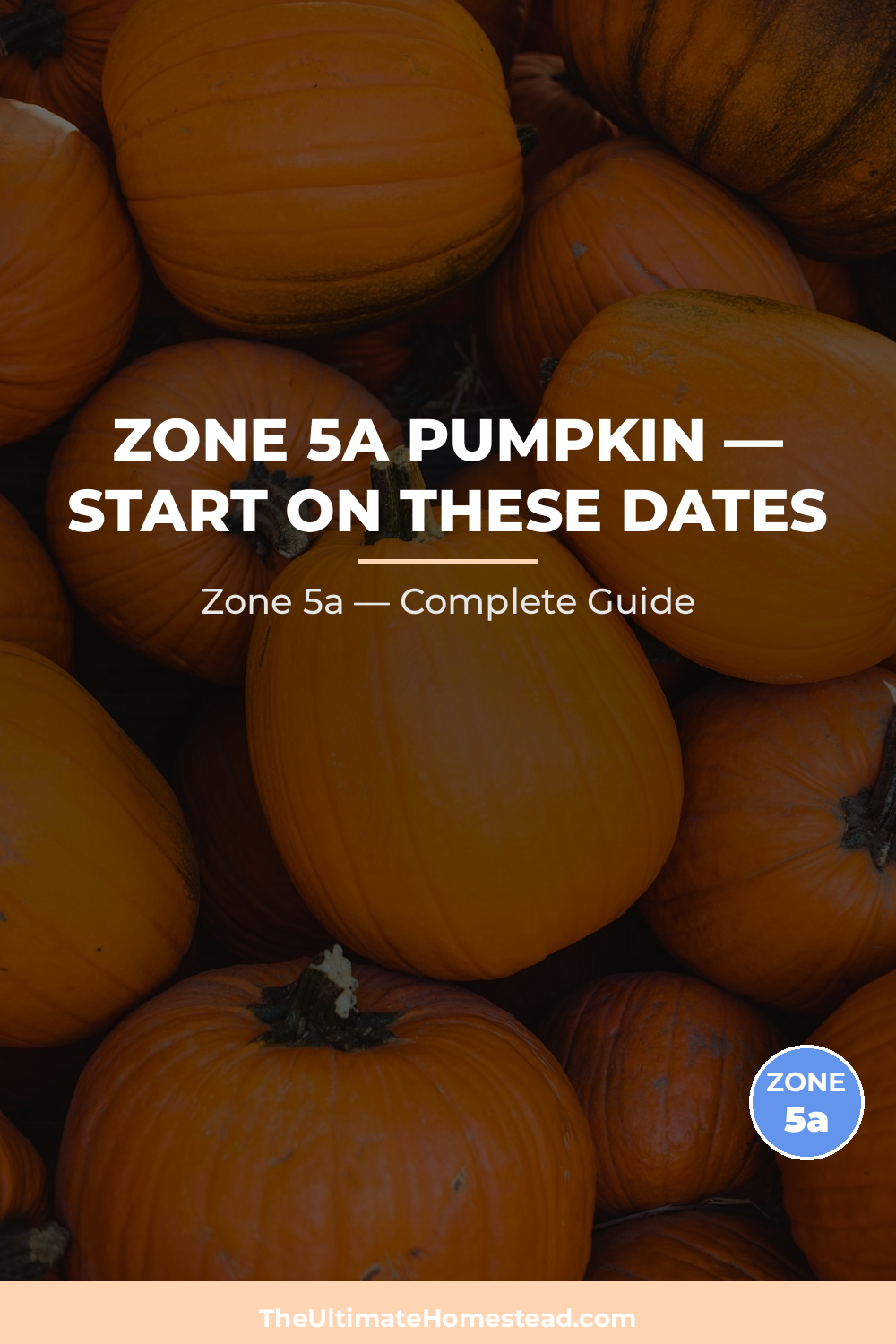 When to Plant Pumpkin in Zone 5a
