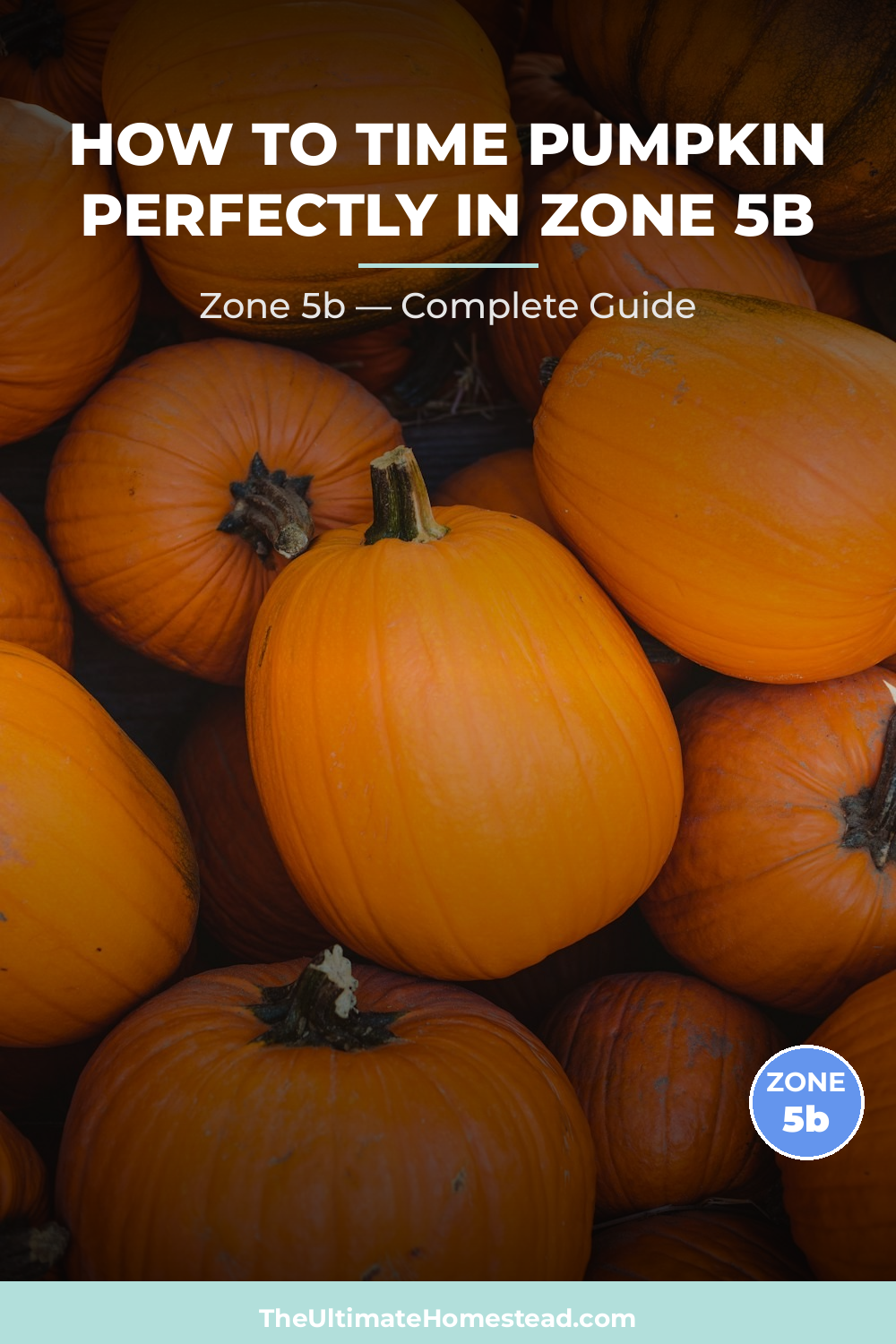 When to Plant Pumpkin in Zone 5b