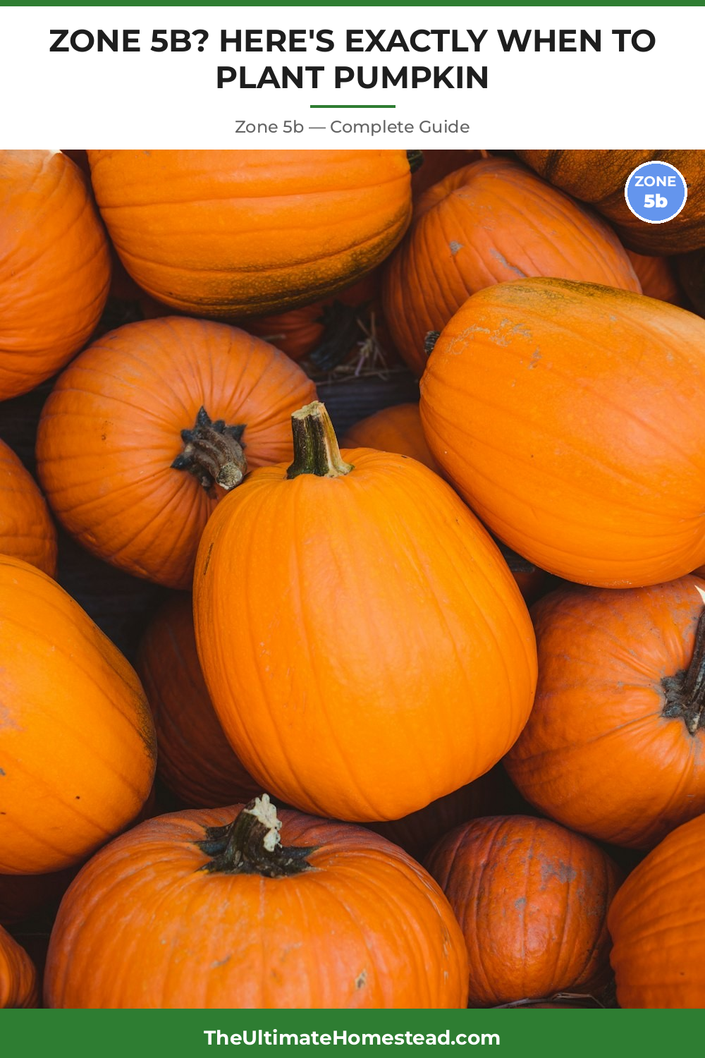 When to Plant Pumpkin in Zone 5b