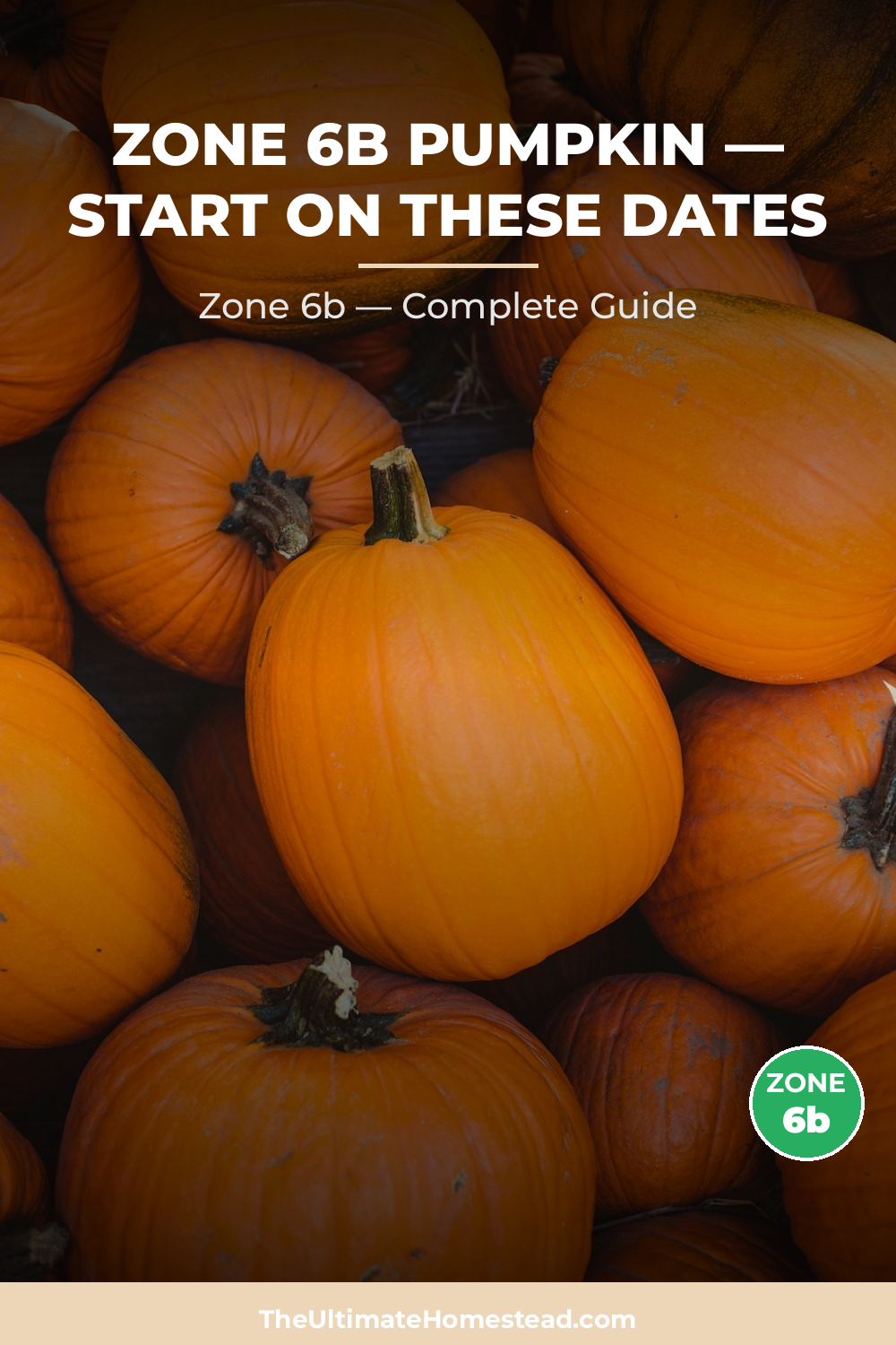 When to Plant Pumpkin in Zone 6b