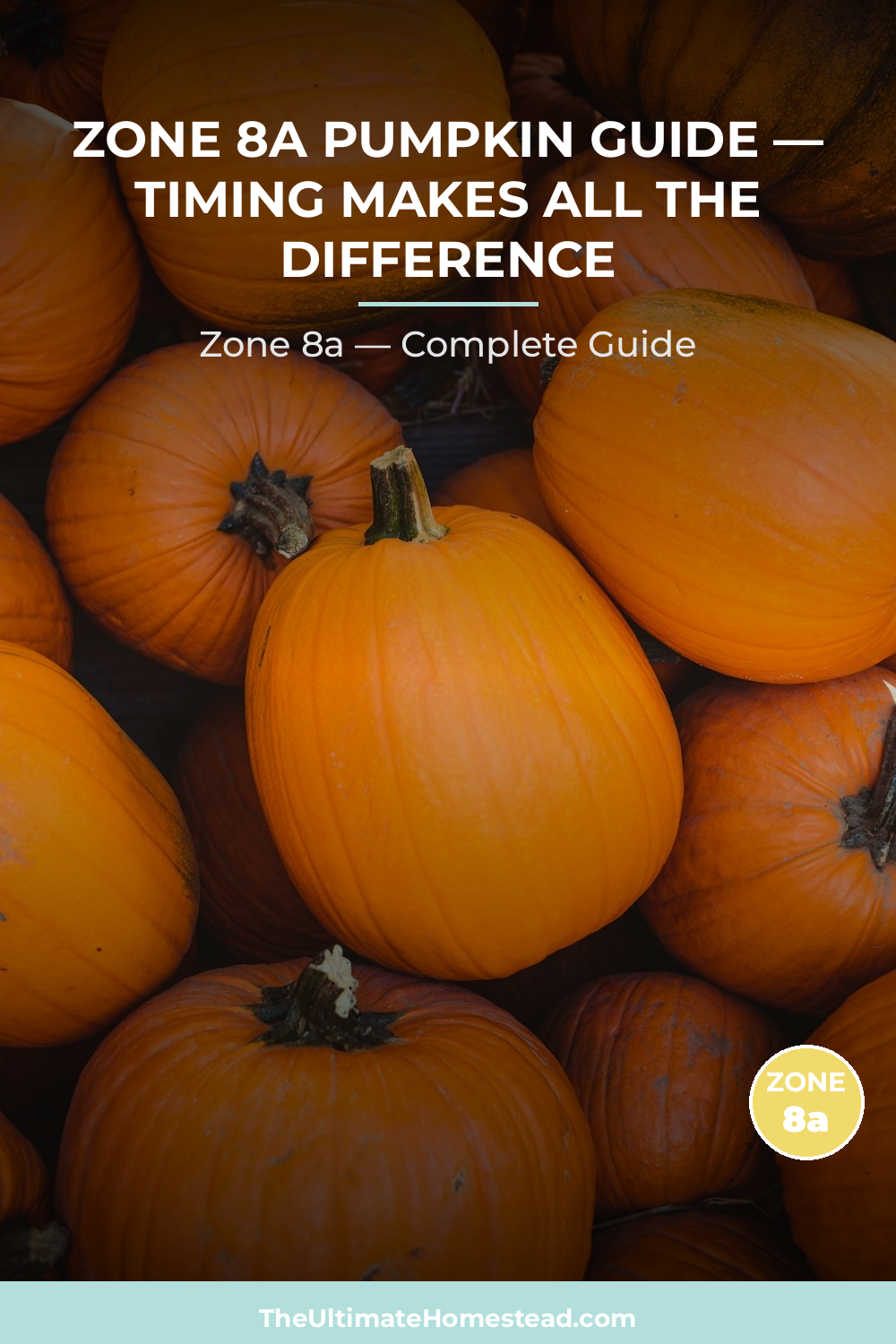 When to Plant Pumpkin in Zone 8a