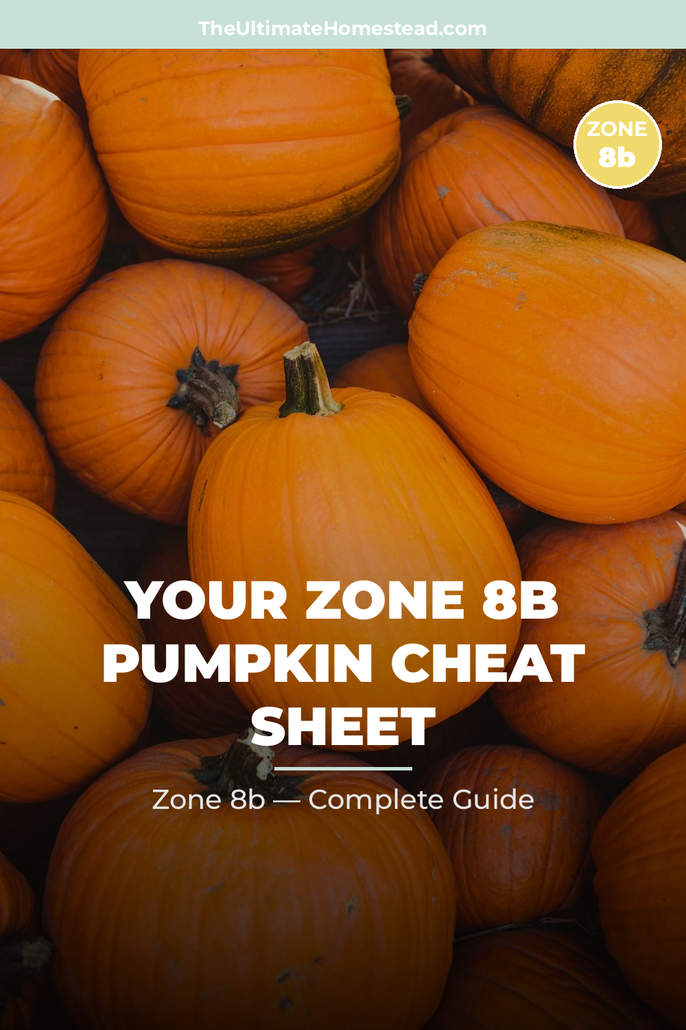 When to Plant Pumpkin in Zone 8b